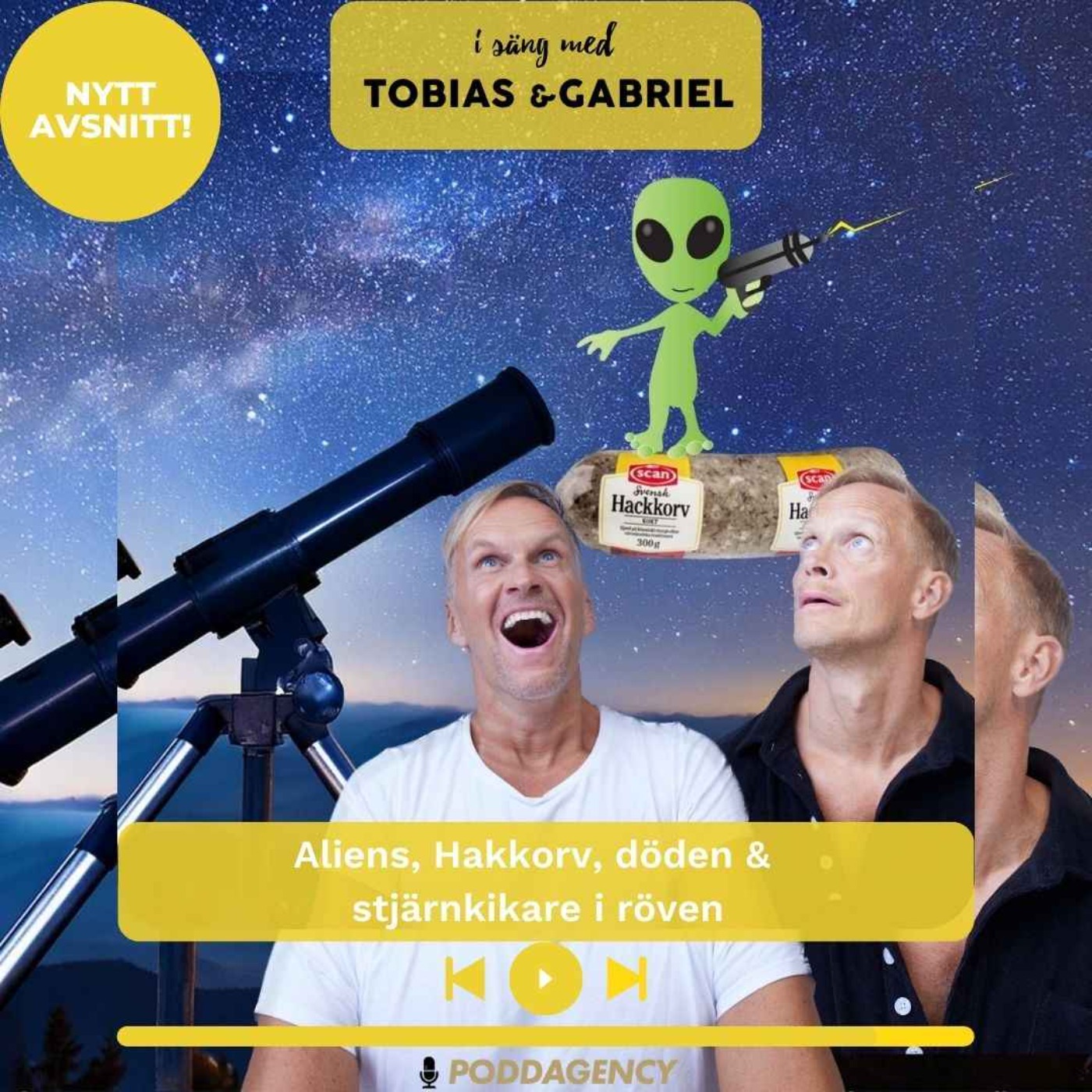 433. Aliens, Hakkorv, döden &  stjärnkikare i röven episode artwork