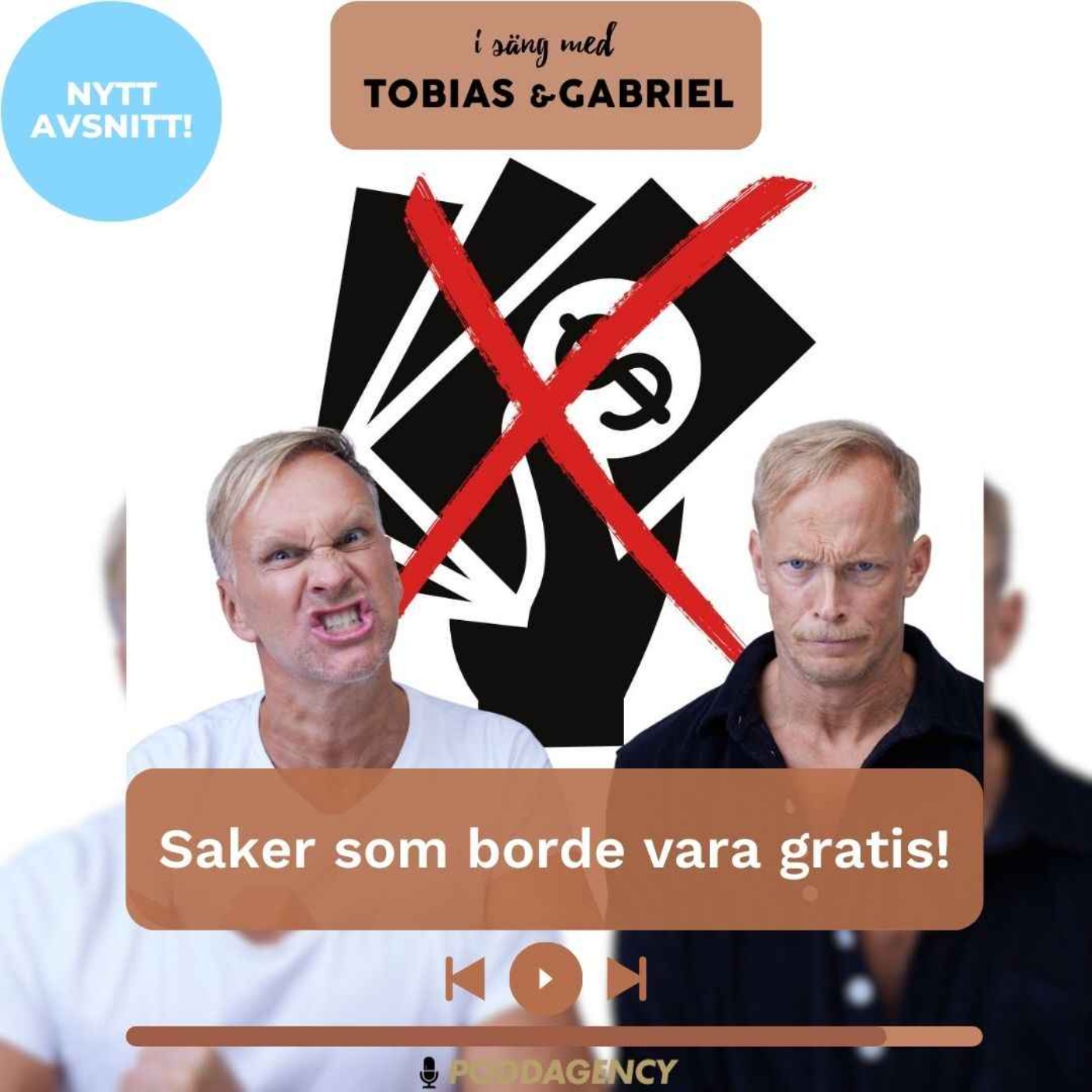 455. Saker som borde vara gratis!