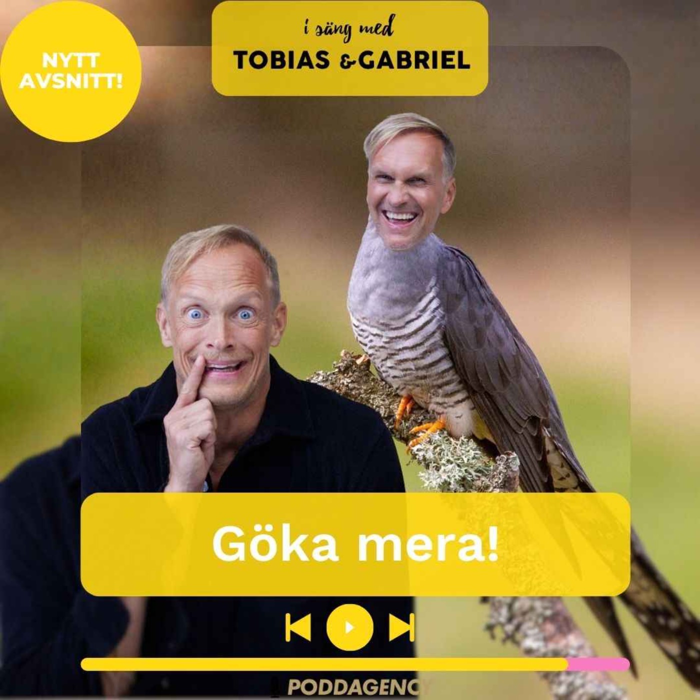 495. Göka mera!