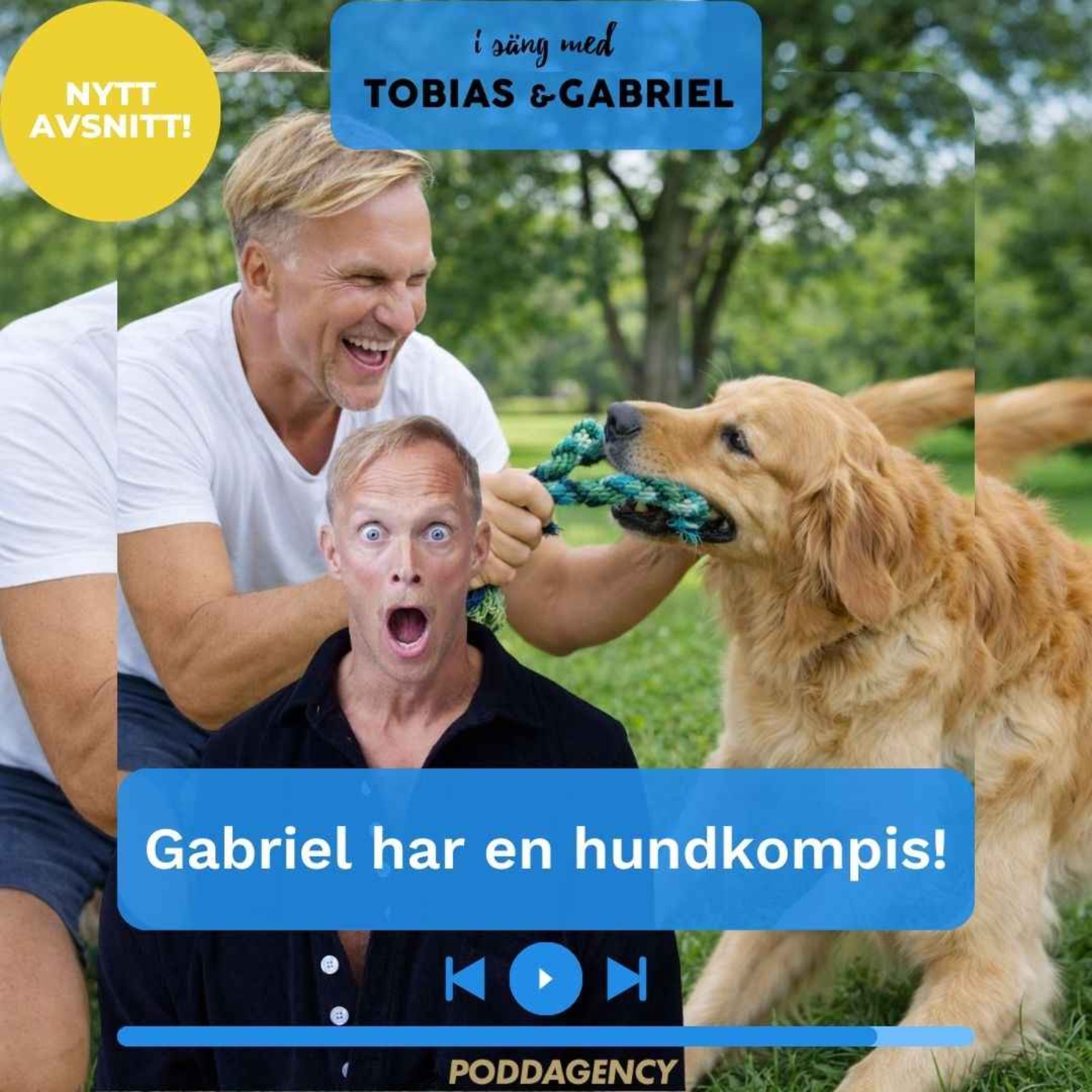 509. Gabriel har en hundkompis!