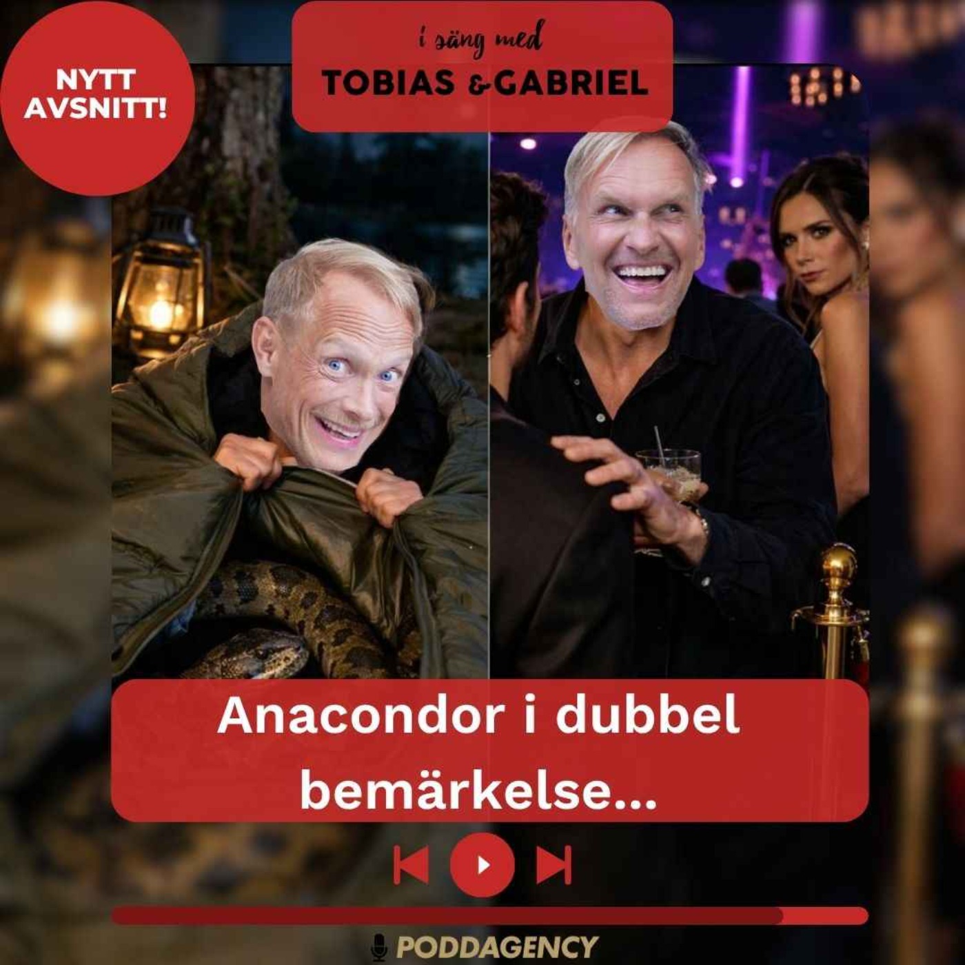 512. Anacondor i dubbel bemärkelse