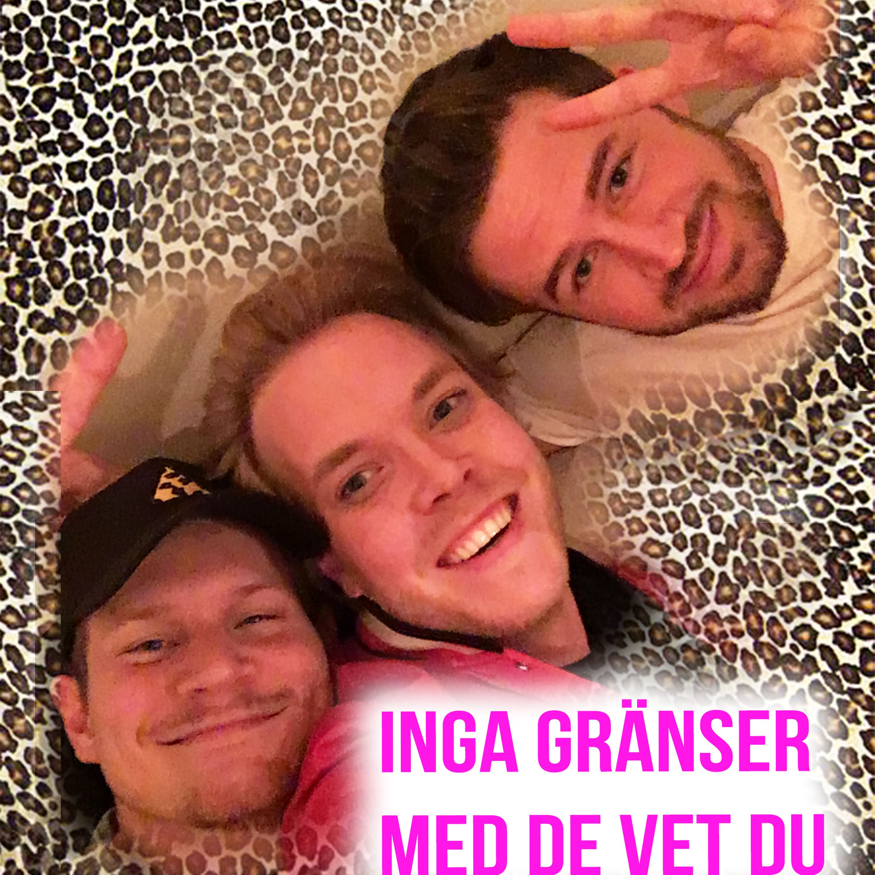 De Vet Du - om gay´s, mello och kredd