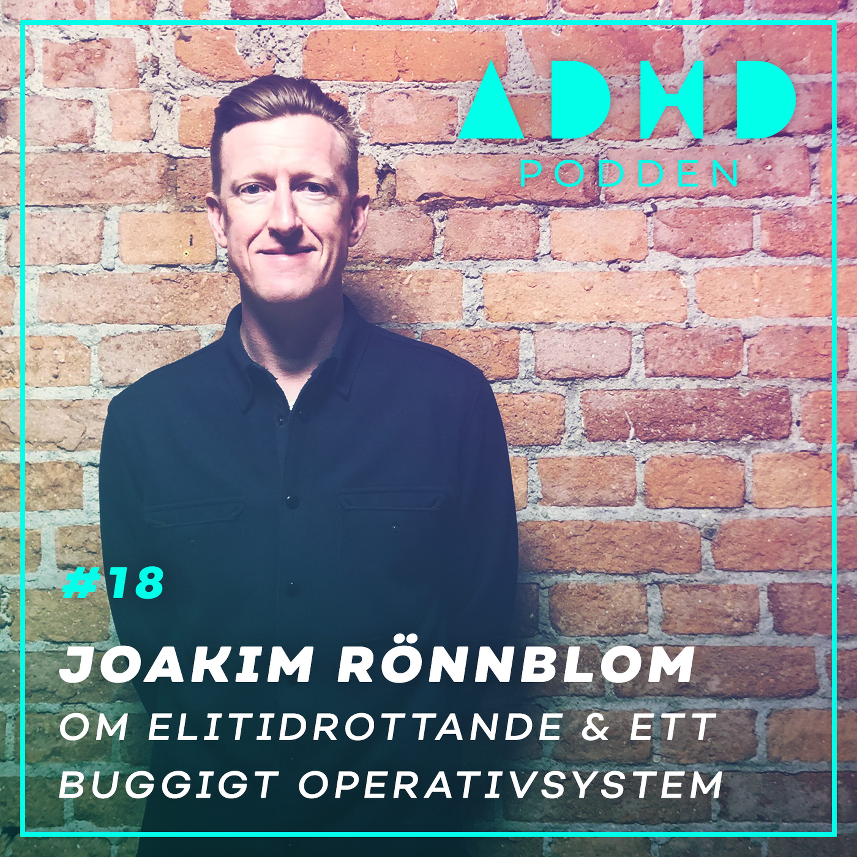 #18. OM ELITIDROTTANDE & ETT BUGGIGT OPERATIVSYSTEM - Joakim Rönnblom