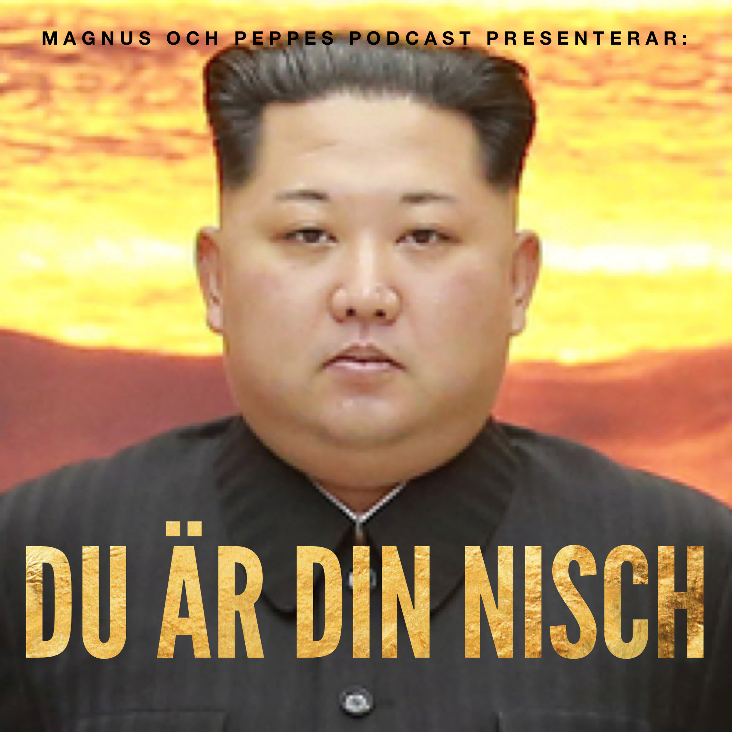 Du är din nisch