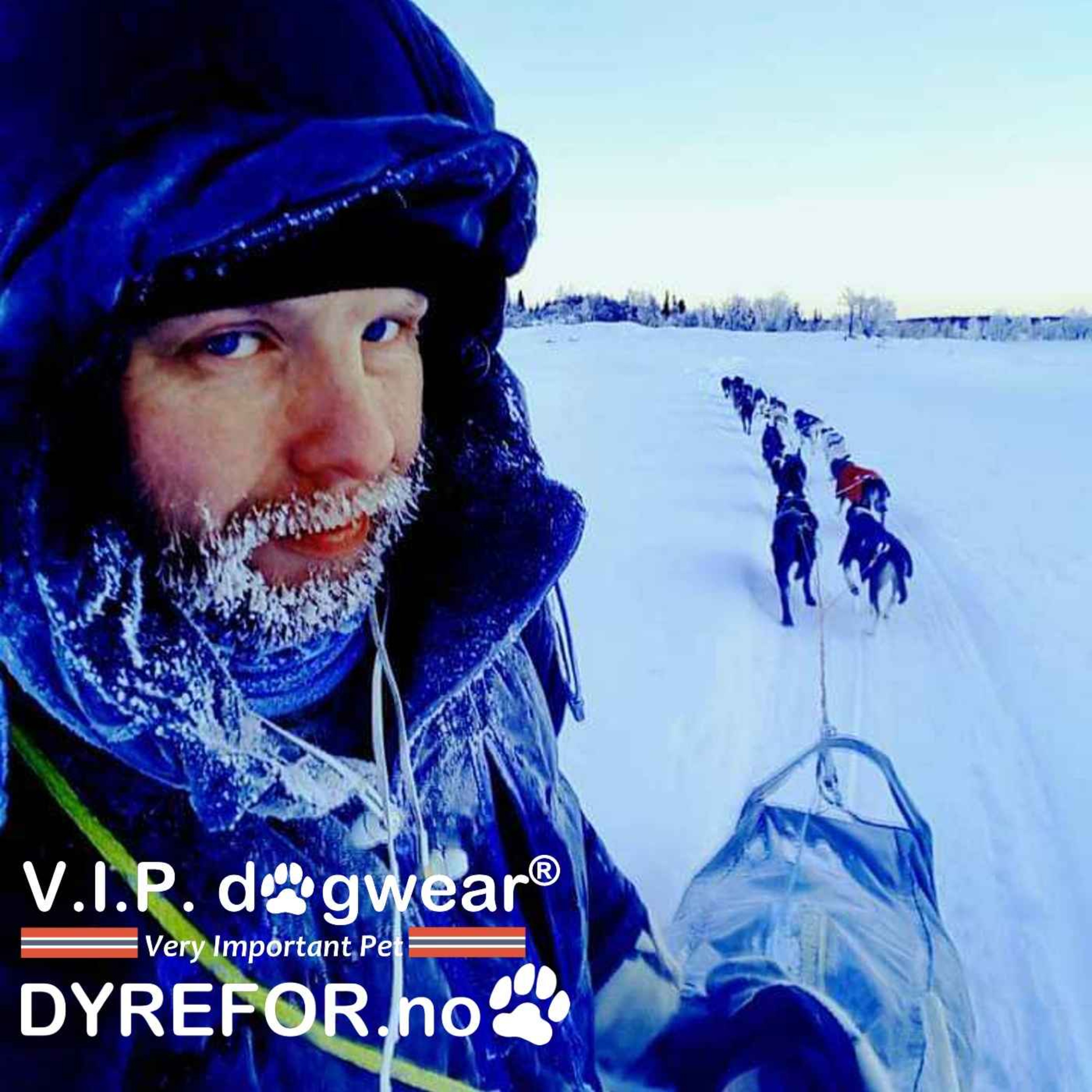 Partnerepisode: Trening og fôring av jakthund med Simen Bækken fra Dyrefor og VIP Dogwear