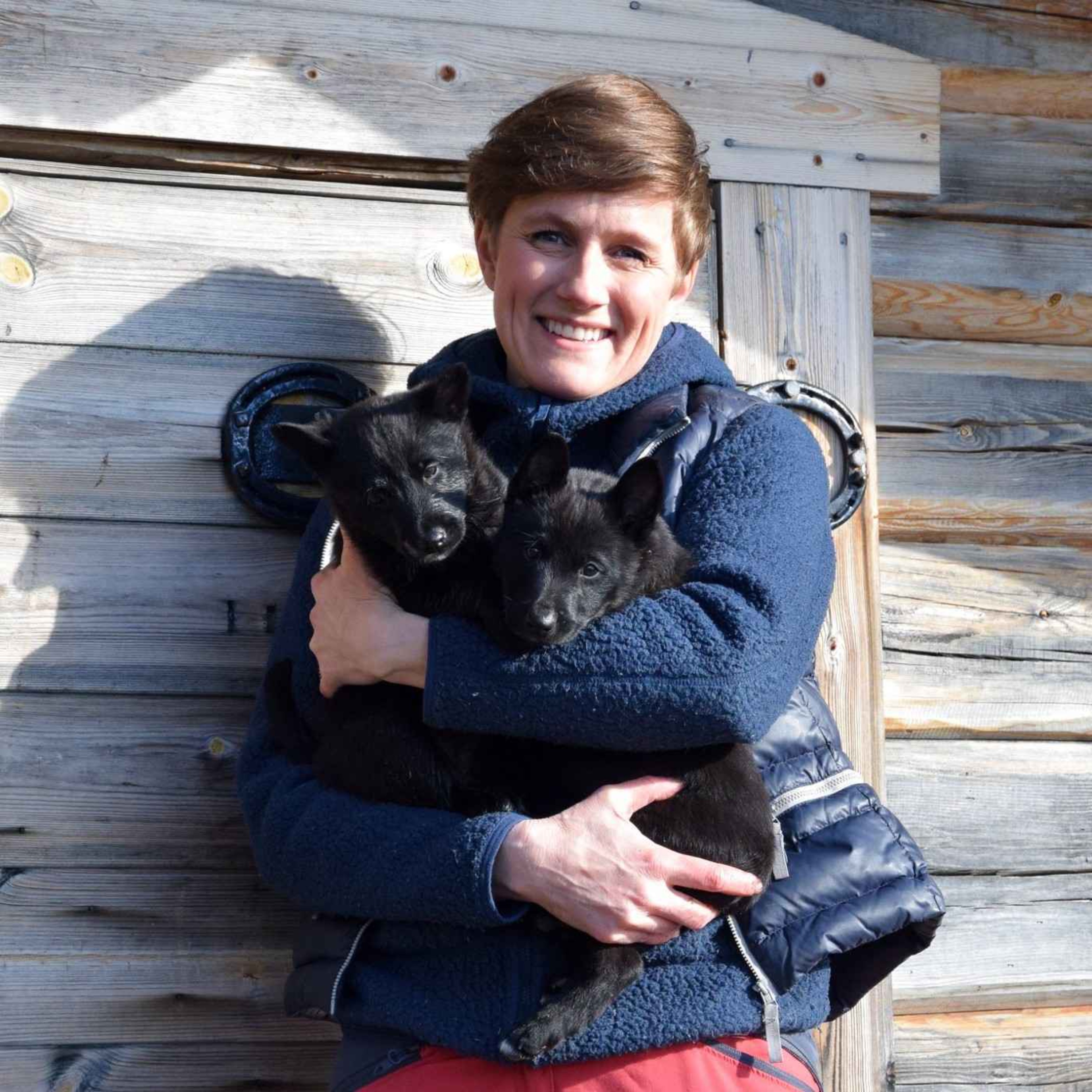 Norsk Elghund Sort, bandhundjakt og utstilling med Camilla Hartz Repshus