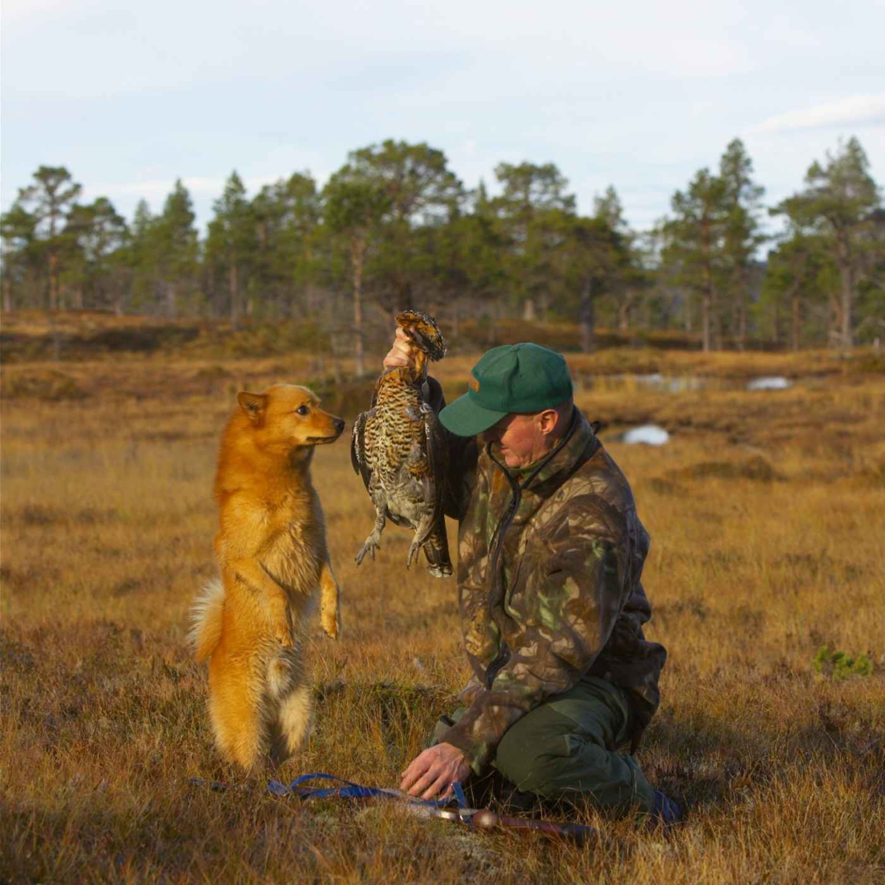 Skogsfugljakt med Roy Vebjørn Kveliaunet