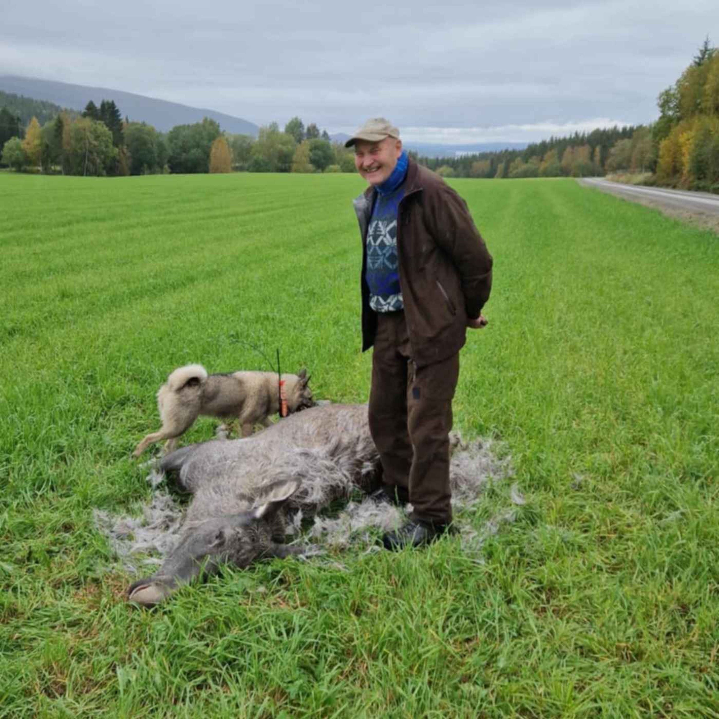 65 år erfaring med harehunder og elghunder med Ola Holsing