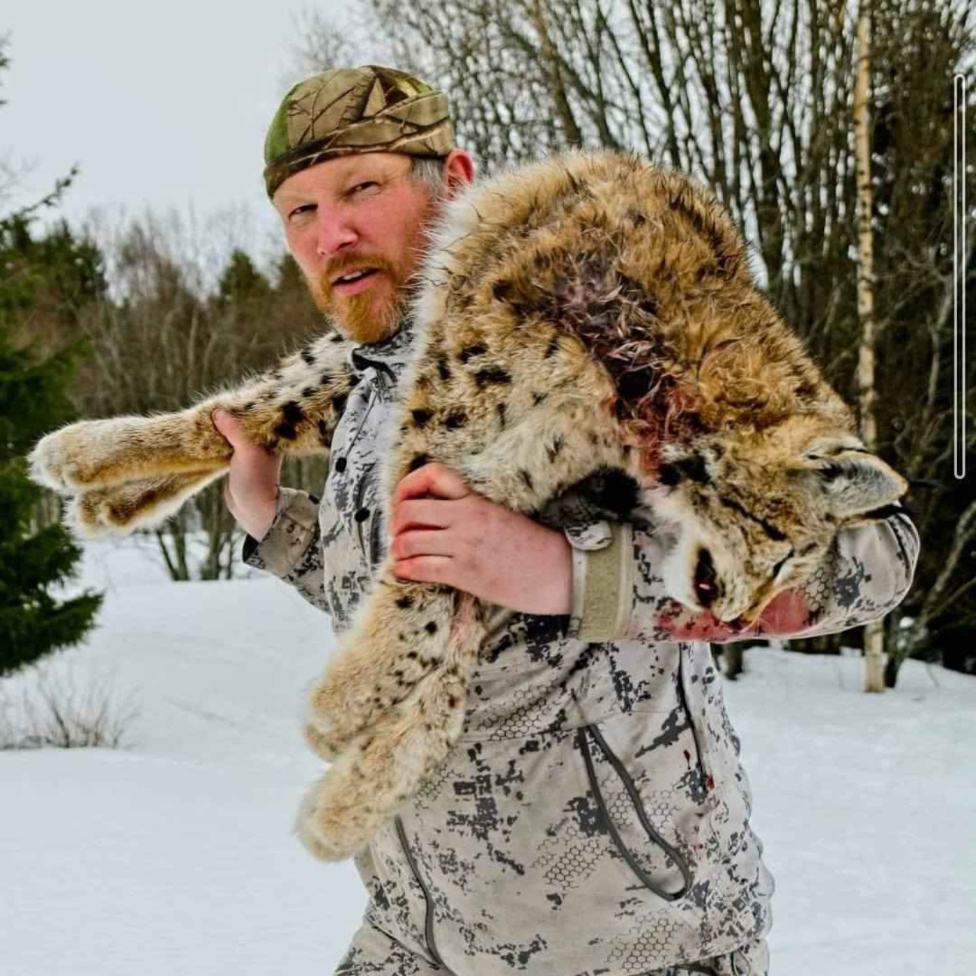 Støver, terrier, rev, gaupe, jerv, bjørn og nødverge med Jens Martin Ness