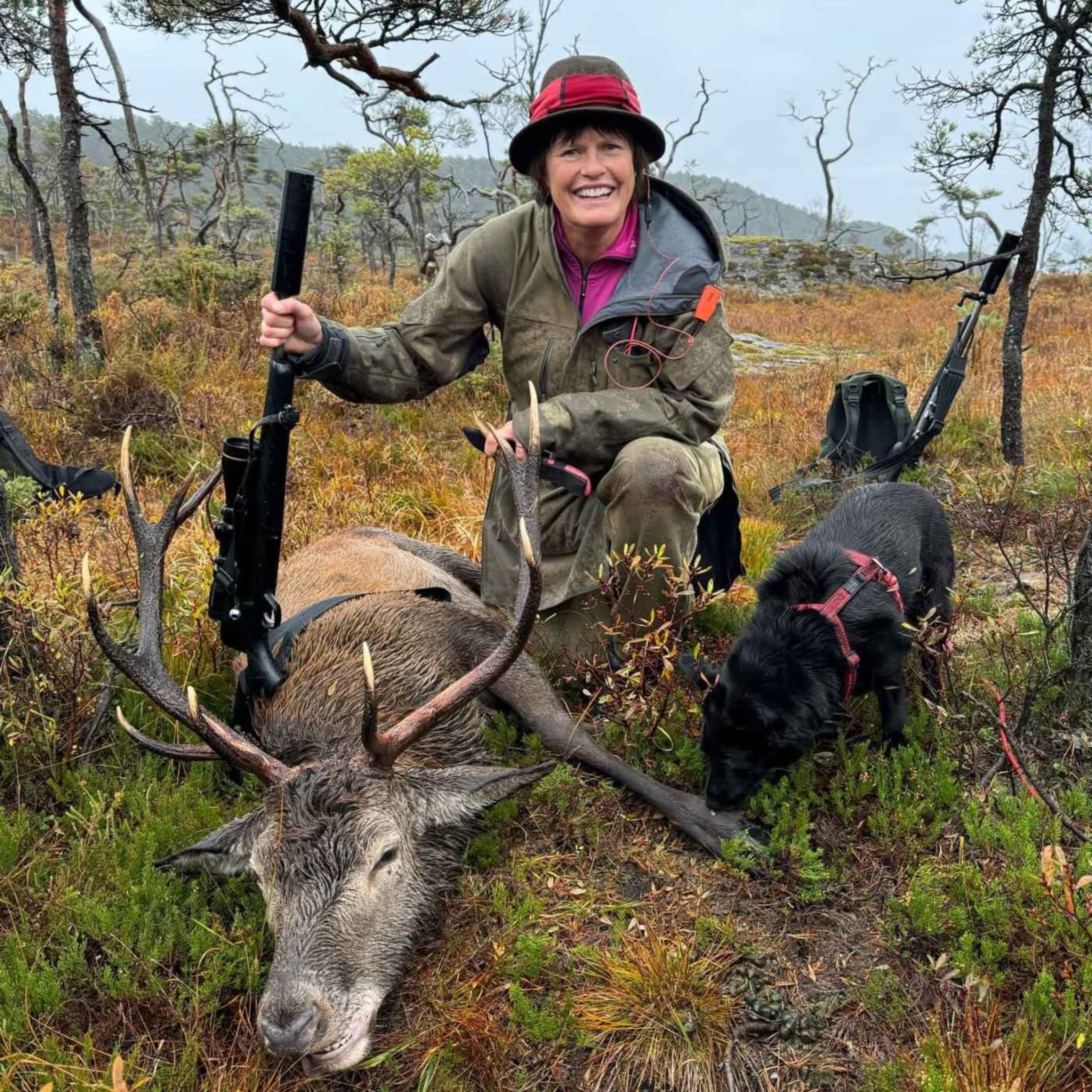 Jegerpodden Podcast: Norsk elghund sort og båndhundjakt med Anita Lie Jegerpodden episode image
