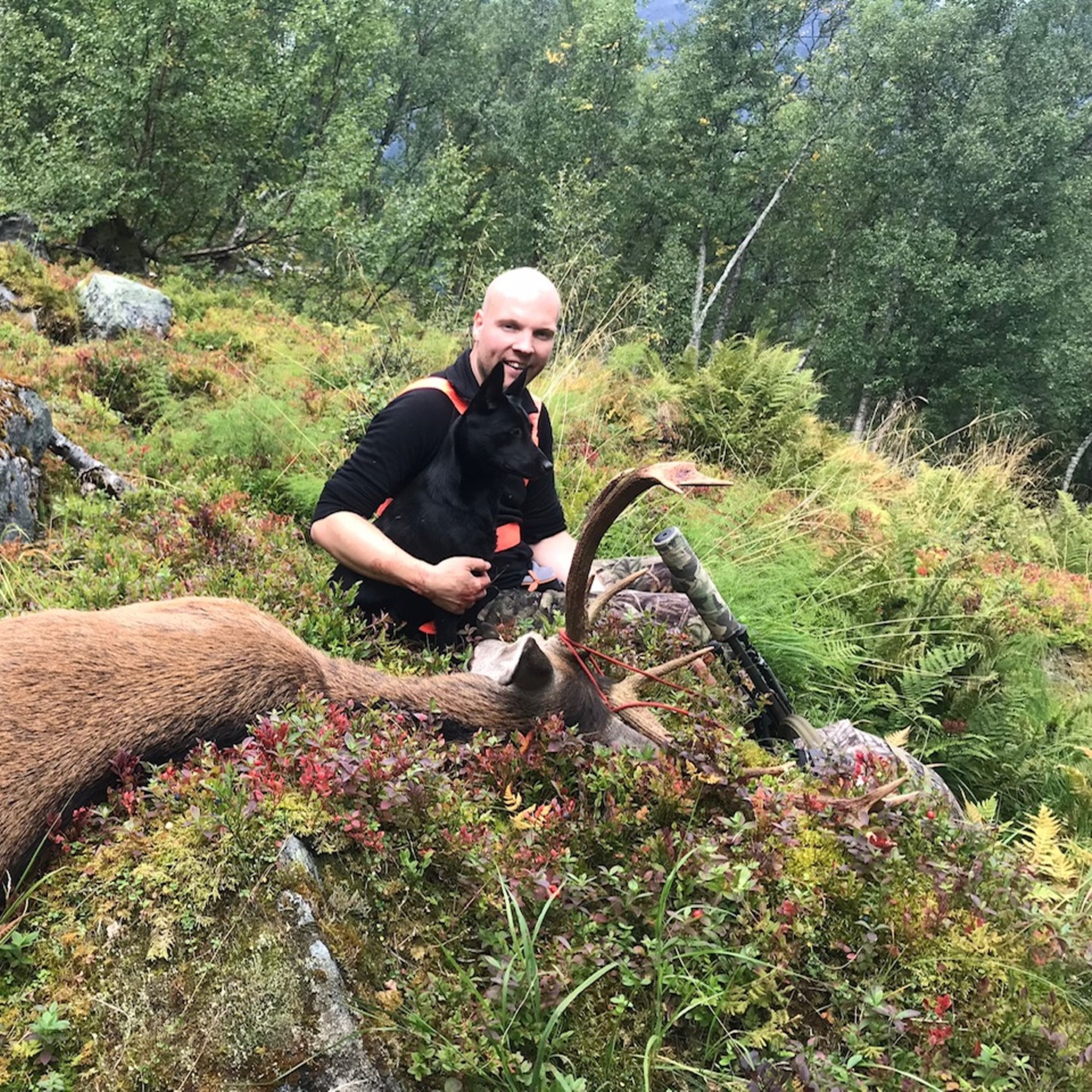 Hjort og elgjakt med bandhund - Svenn Magnus Runde