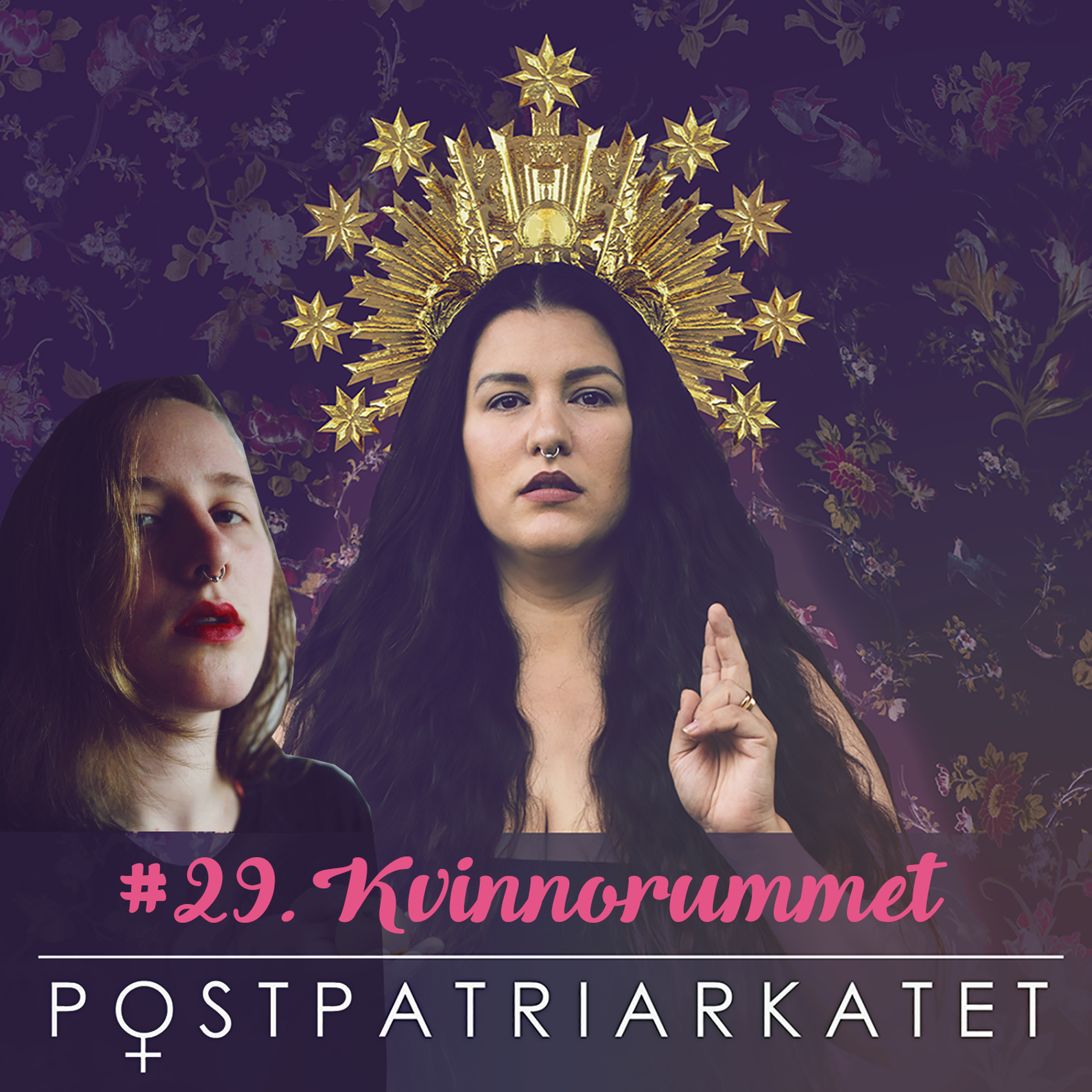 cover art for Kvinnorummet - #29