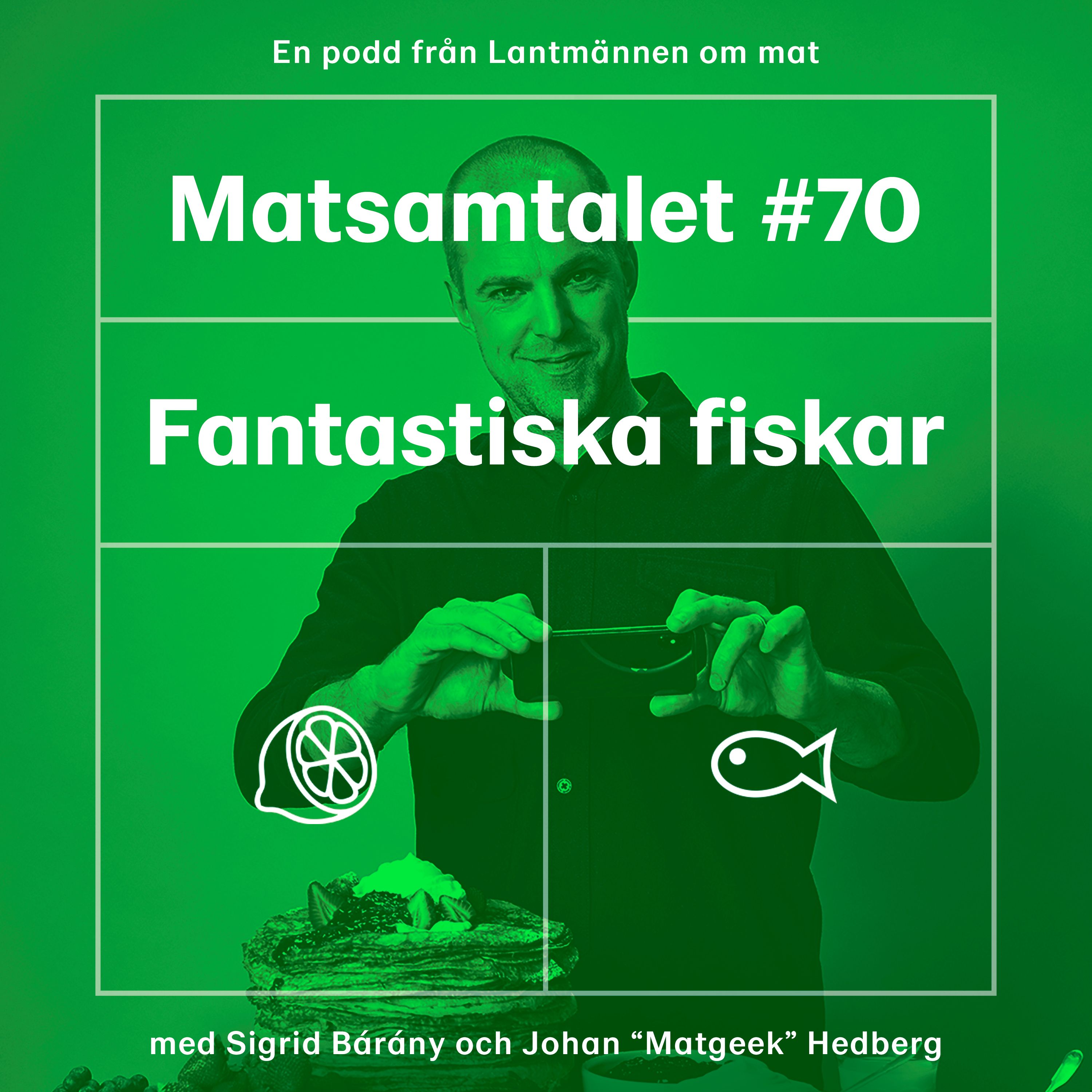 Matsamtalet