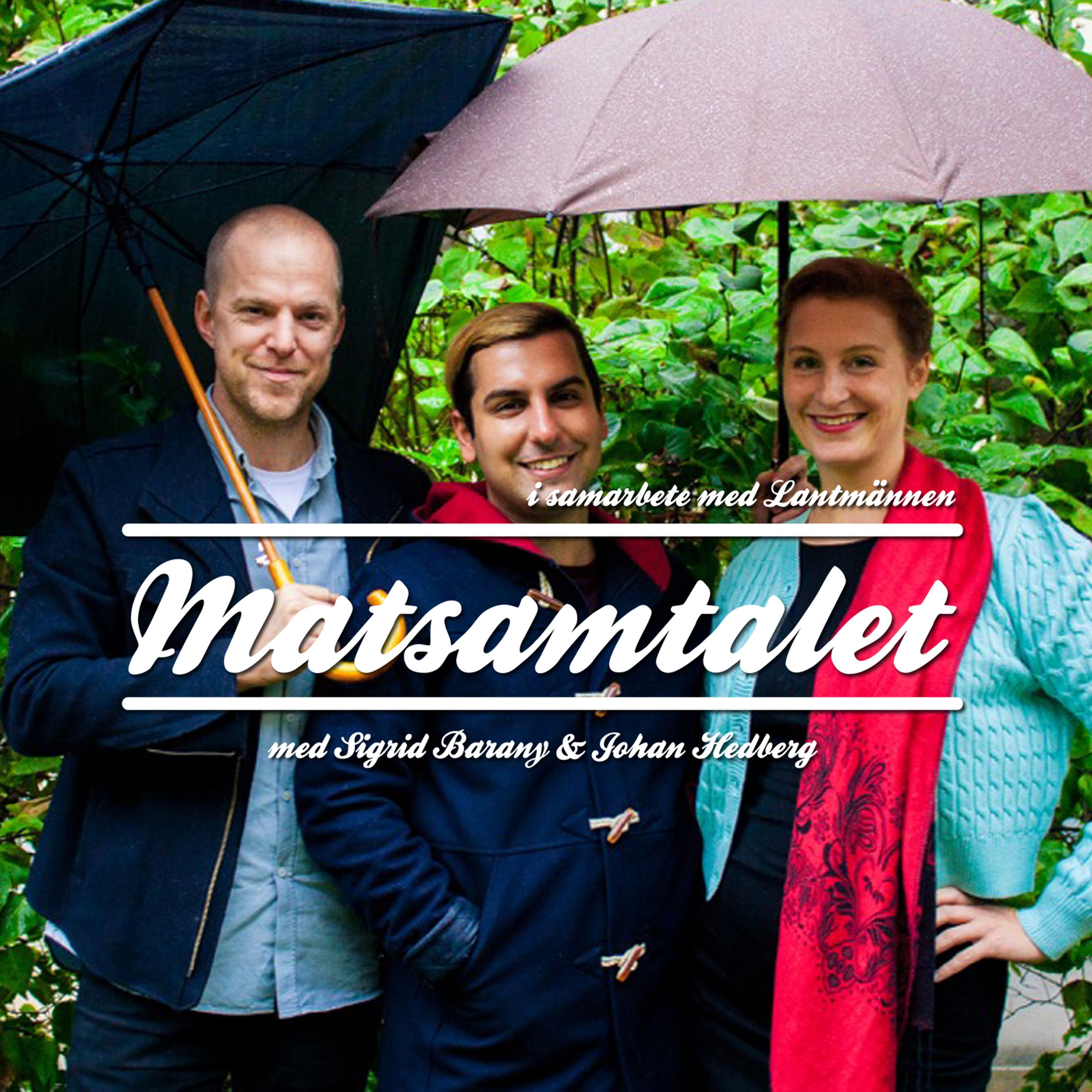 Matsamtalet