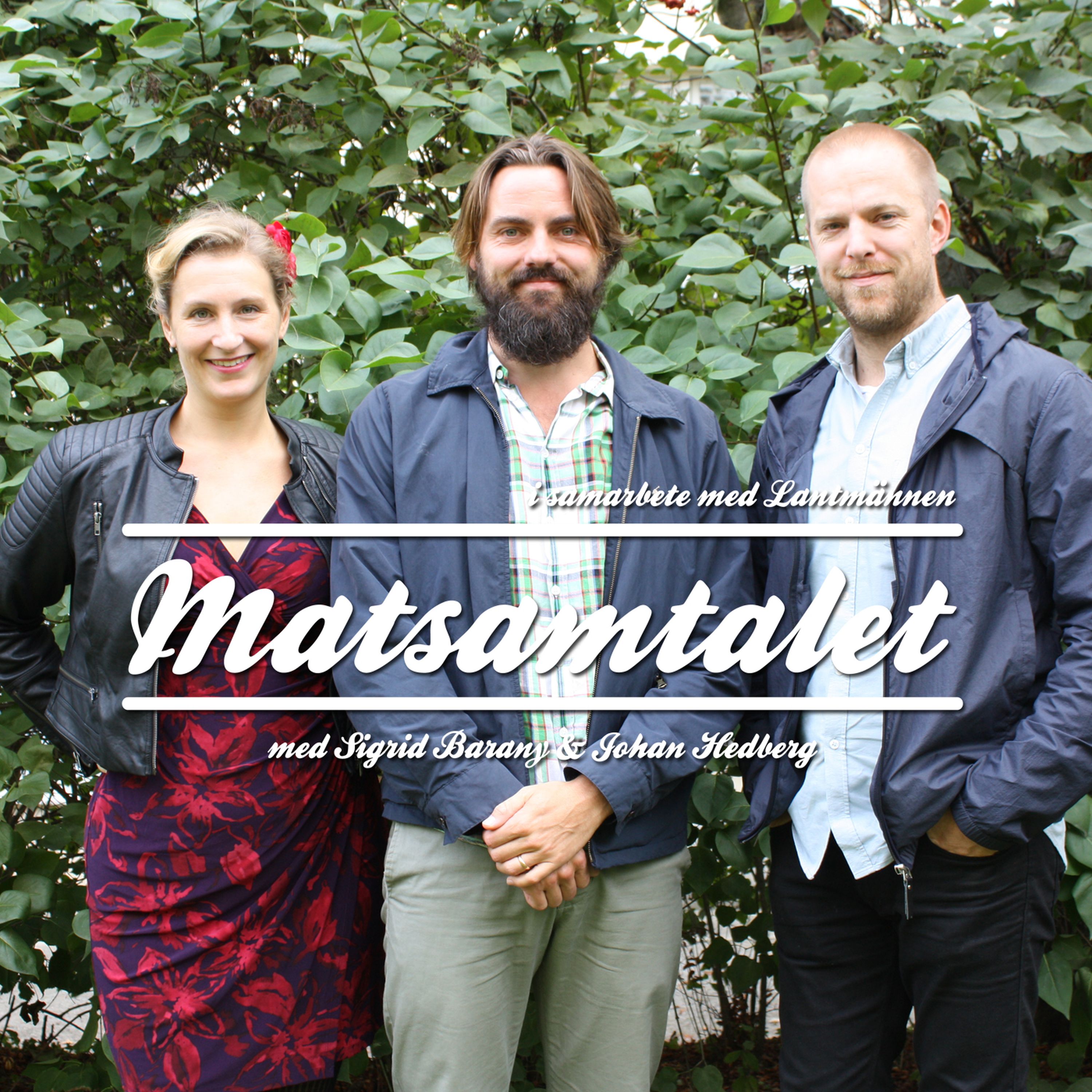Matsamtalet