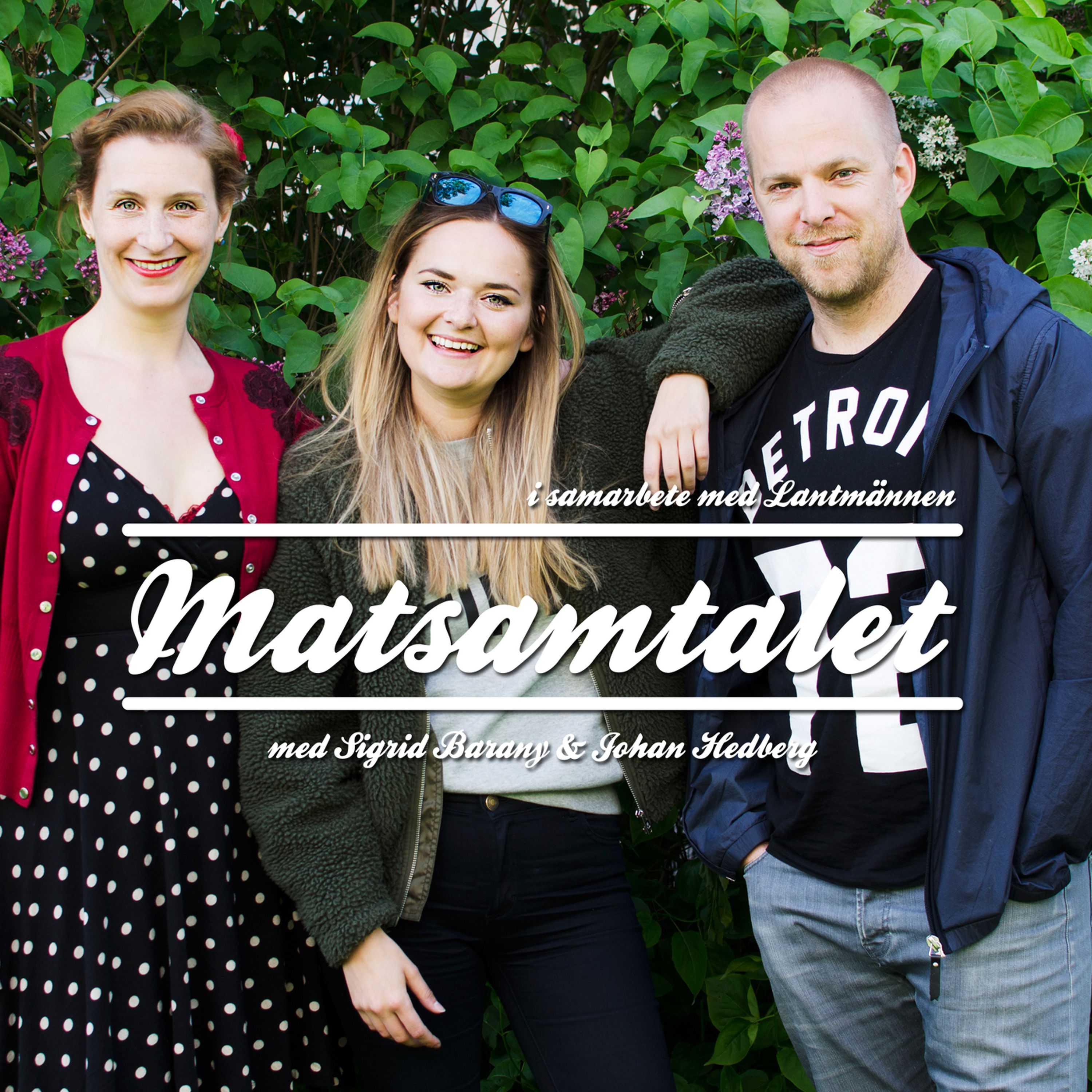 Matsamtalet