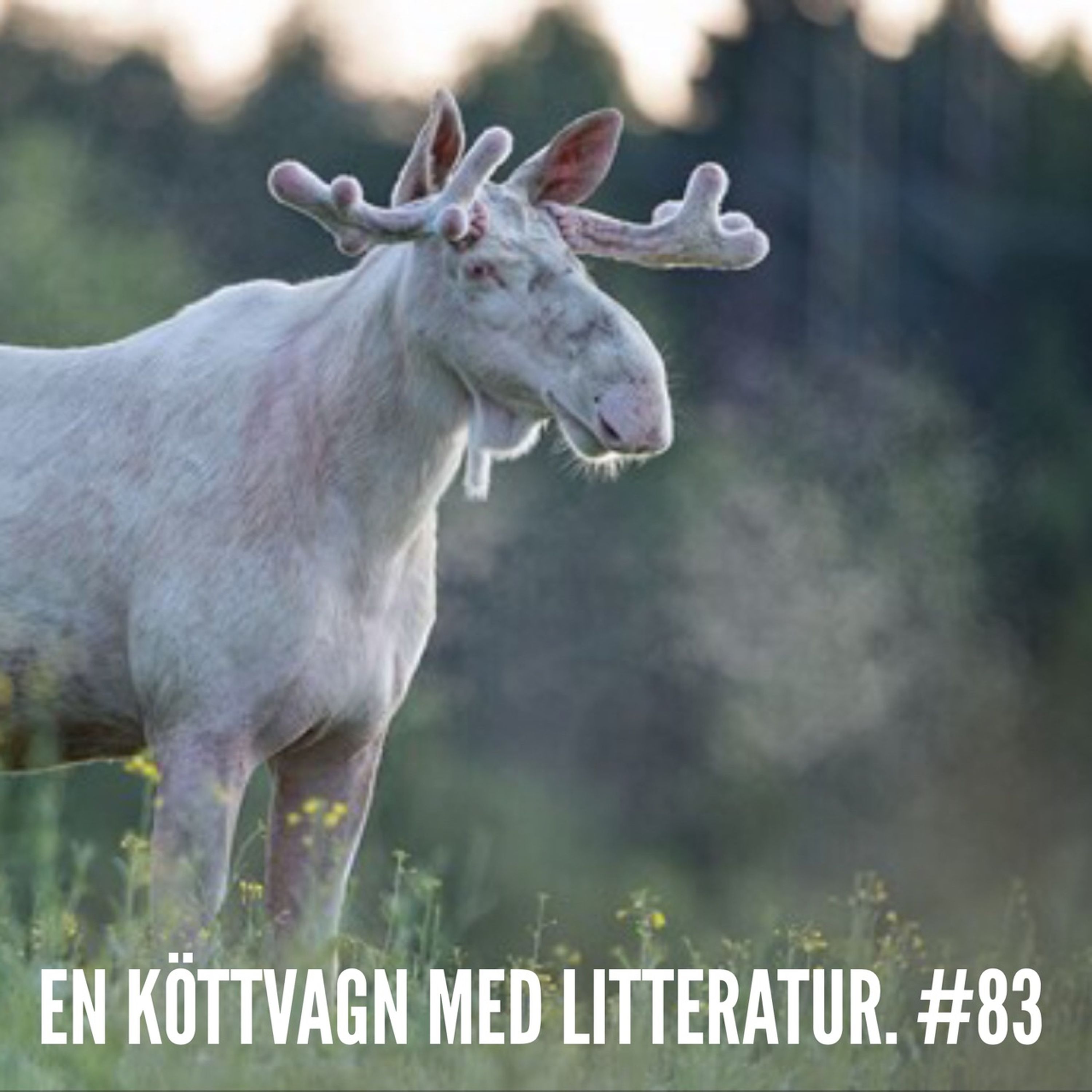 Mellan raderna - en podcast om läsning