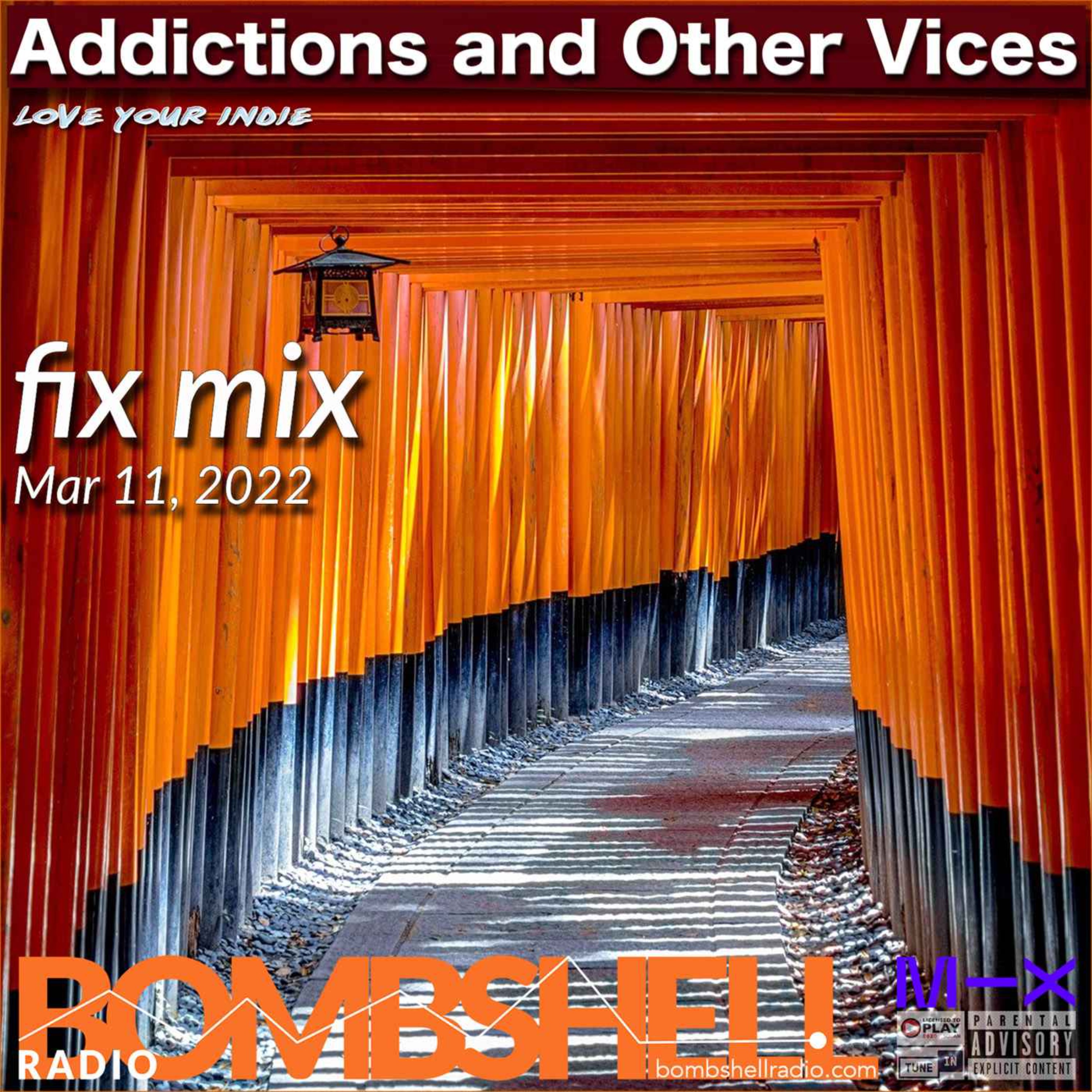 Addictions and Other Vices