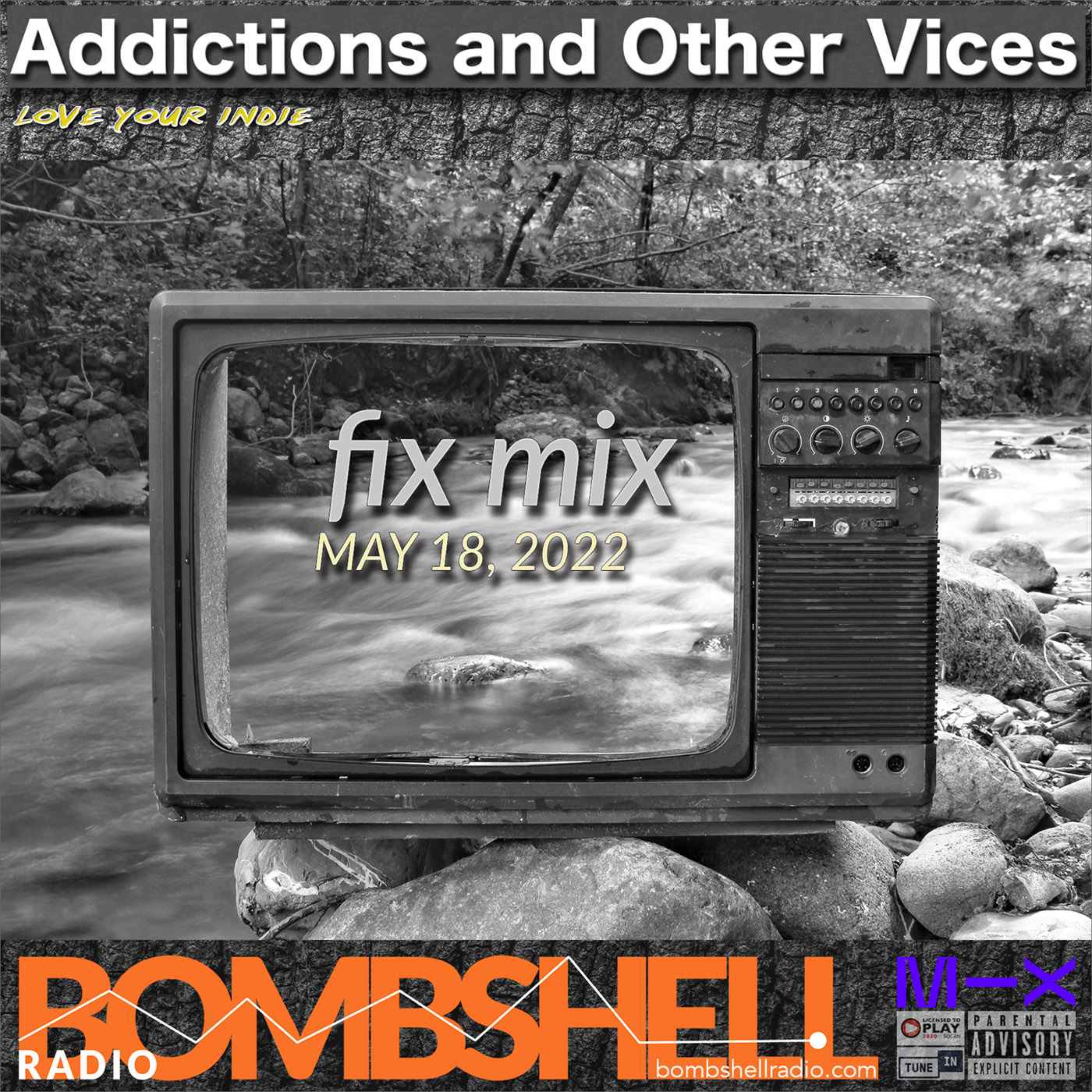 Addictions and Other Vices