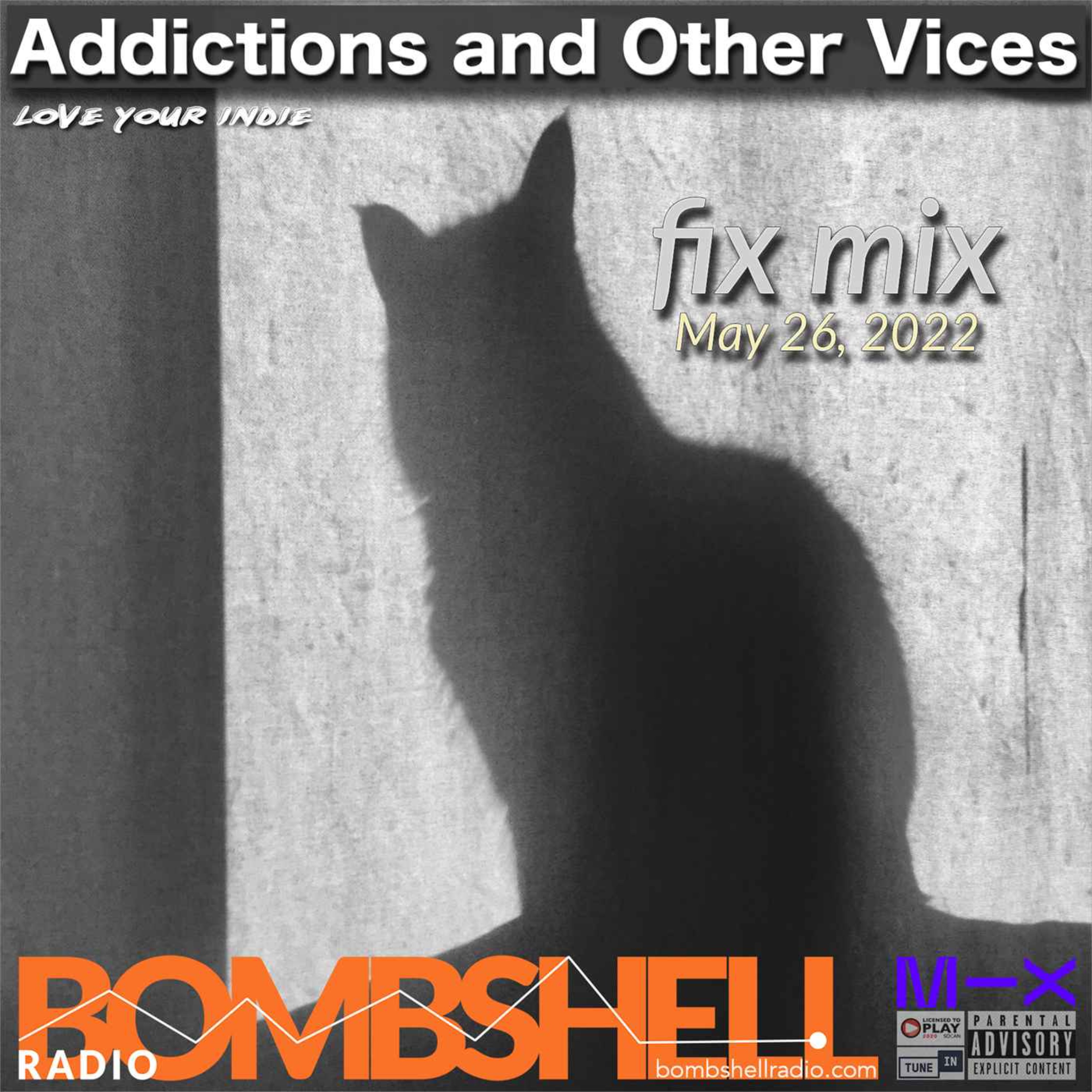 Addictions and Other Vices