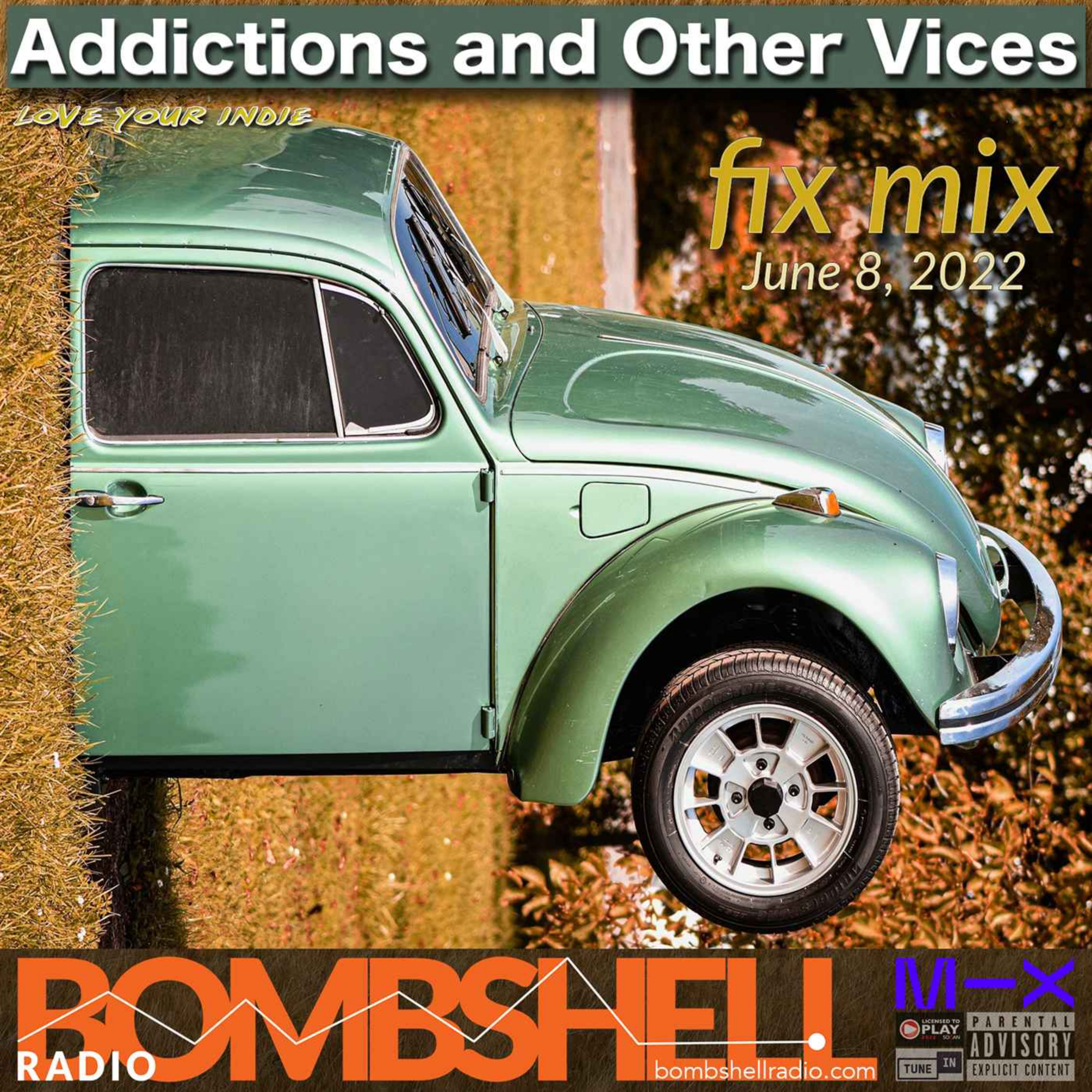 Addictions and Other Vices