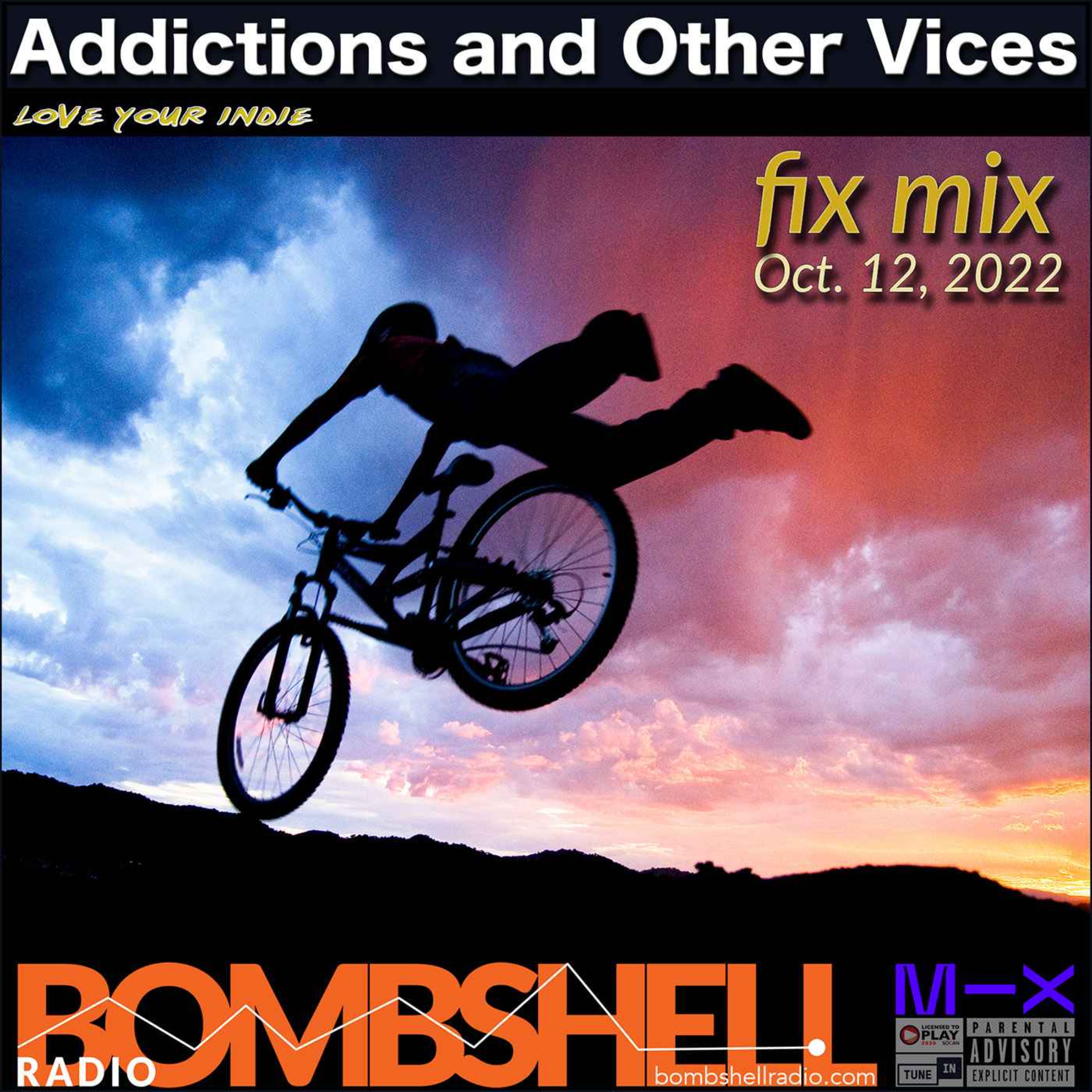 Addictions and Other Vices