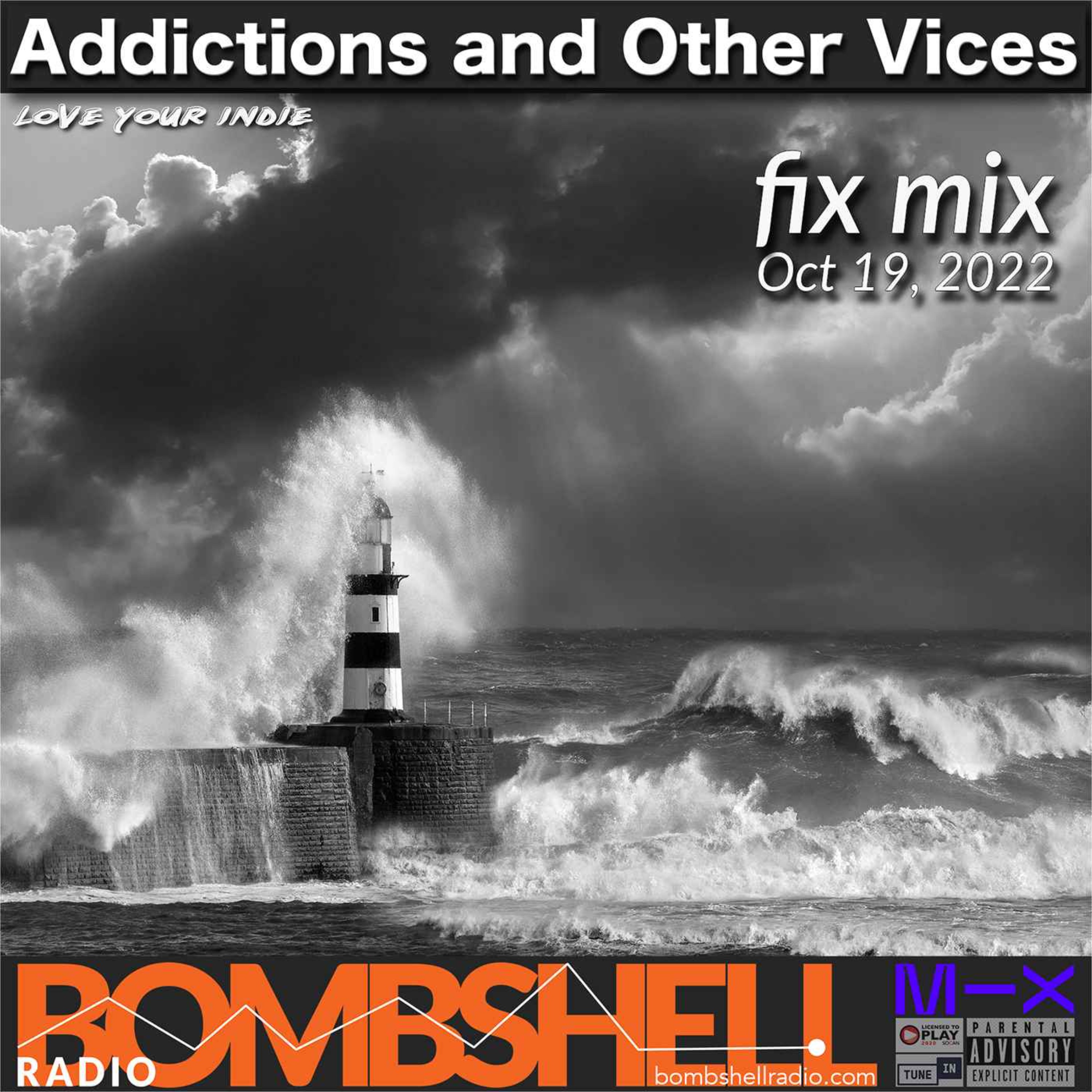 Addictions and Other Vices