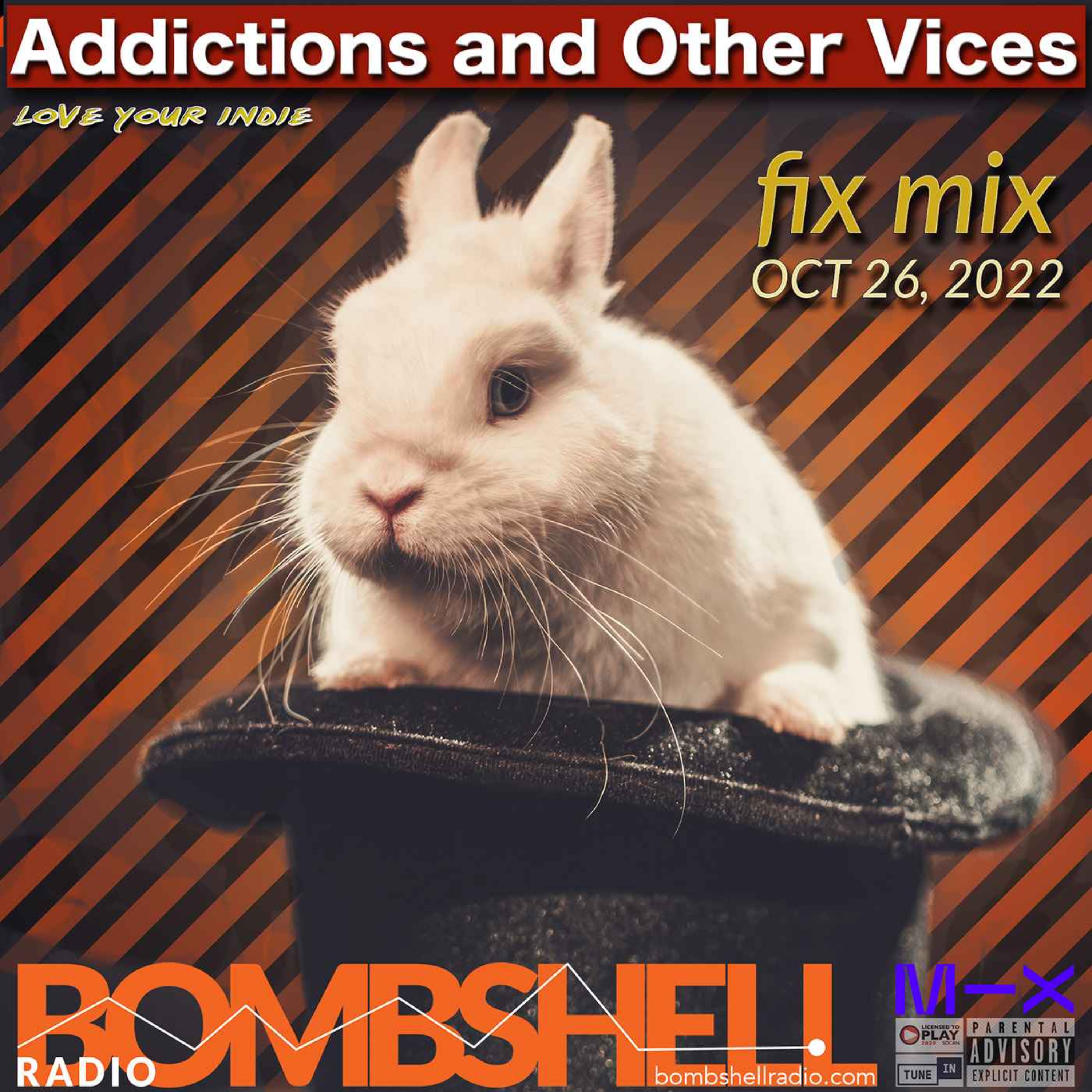 Addictions and Other Vices