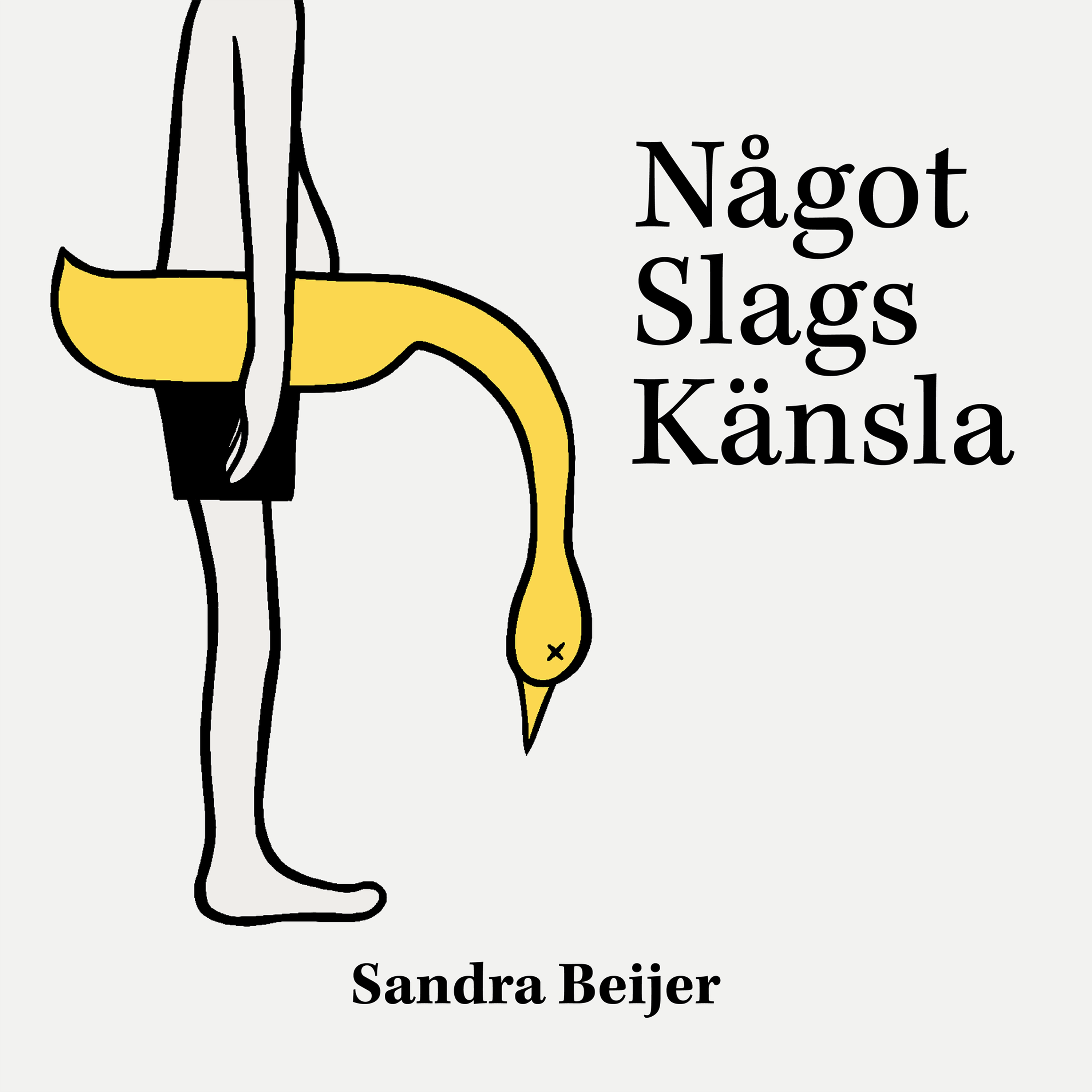 Något Slags Känsla
