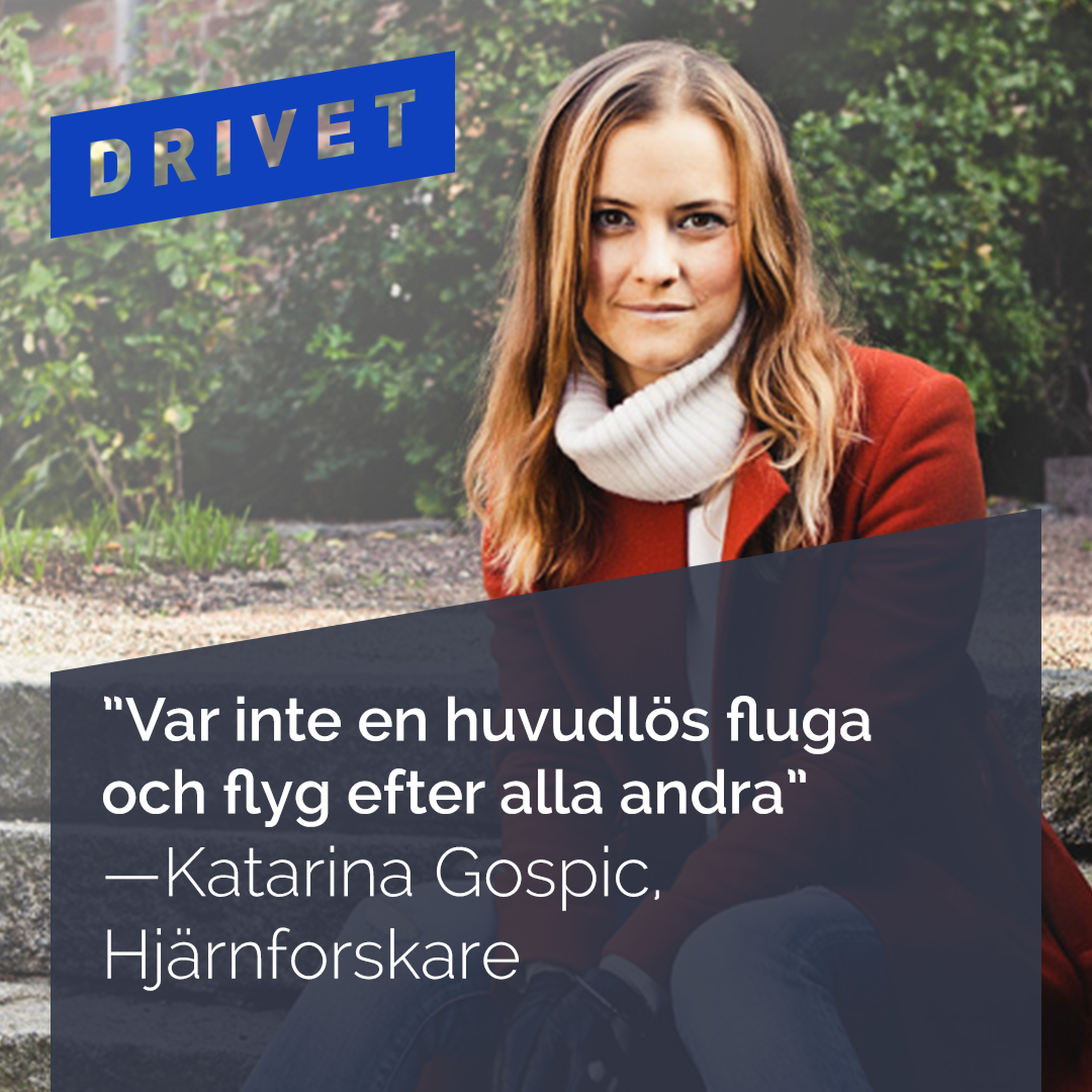 Drivet