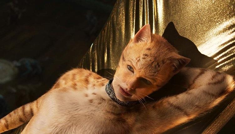 NO POPCORN #013 | CATS w/ Michael Fry and Andrea Cleary