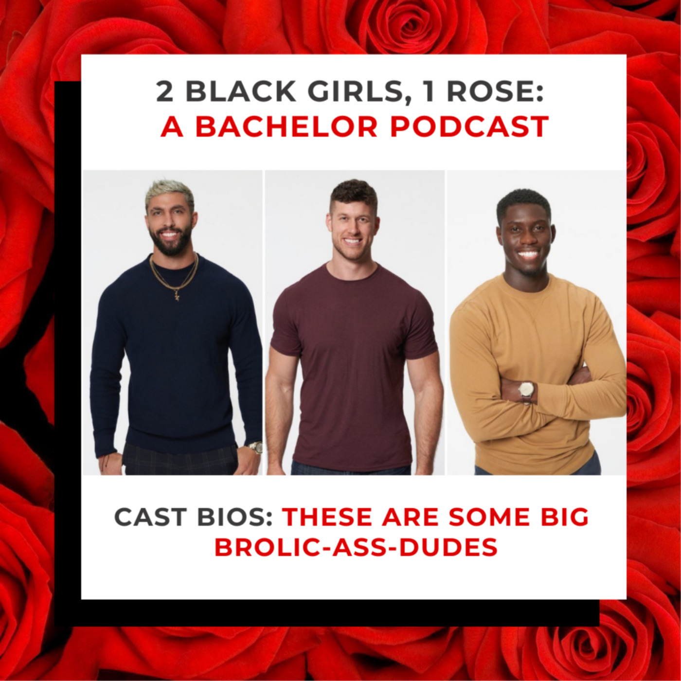 Michelle's Season: Cast Bios: These Are Some Big Brolic-Ass-Dudes