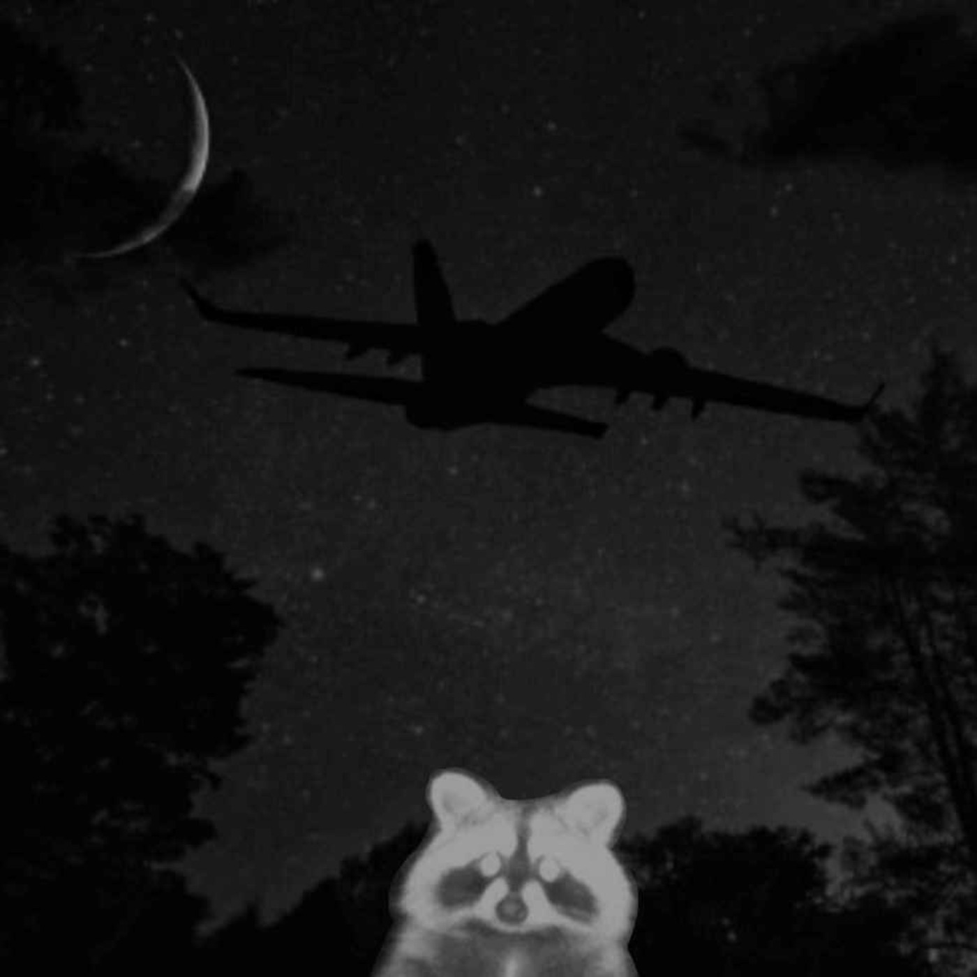 Cat Noir Comedy Podcast