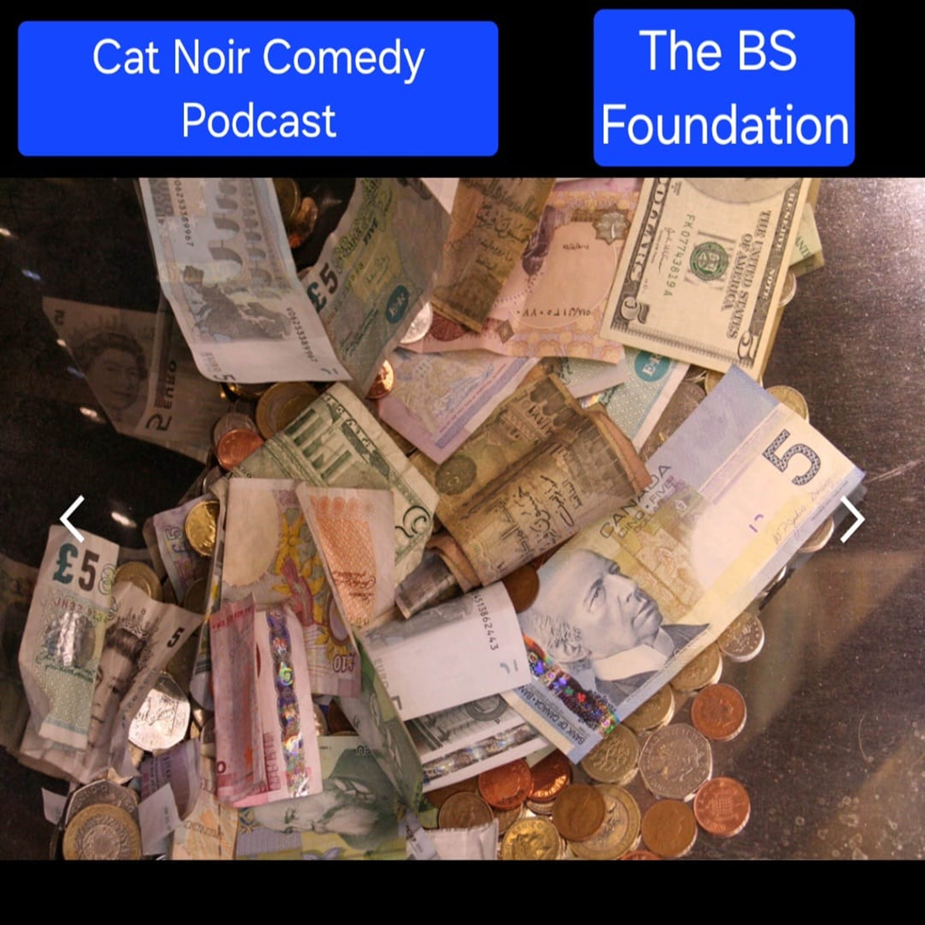 cover art for The BS Foundation