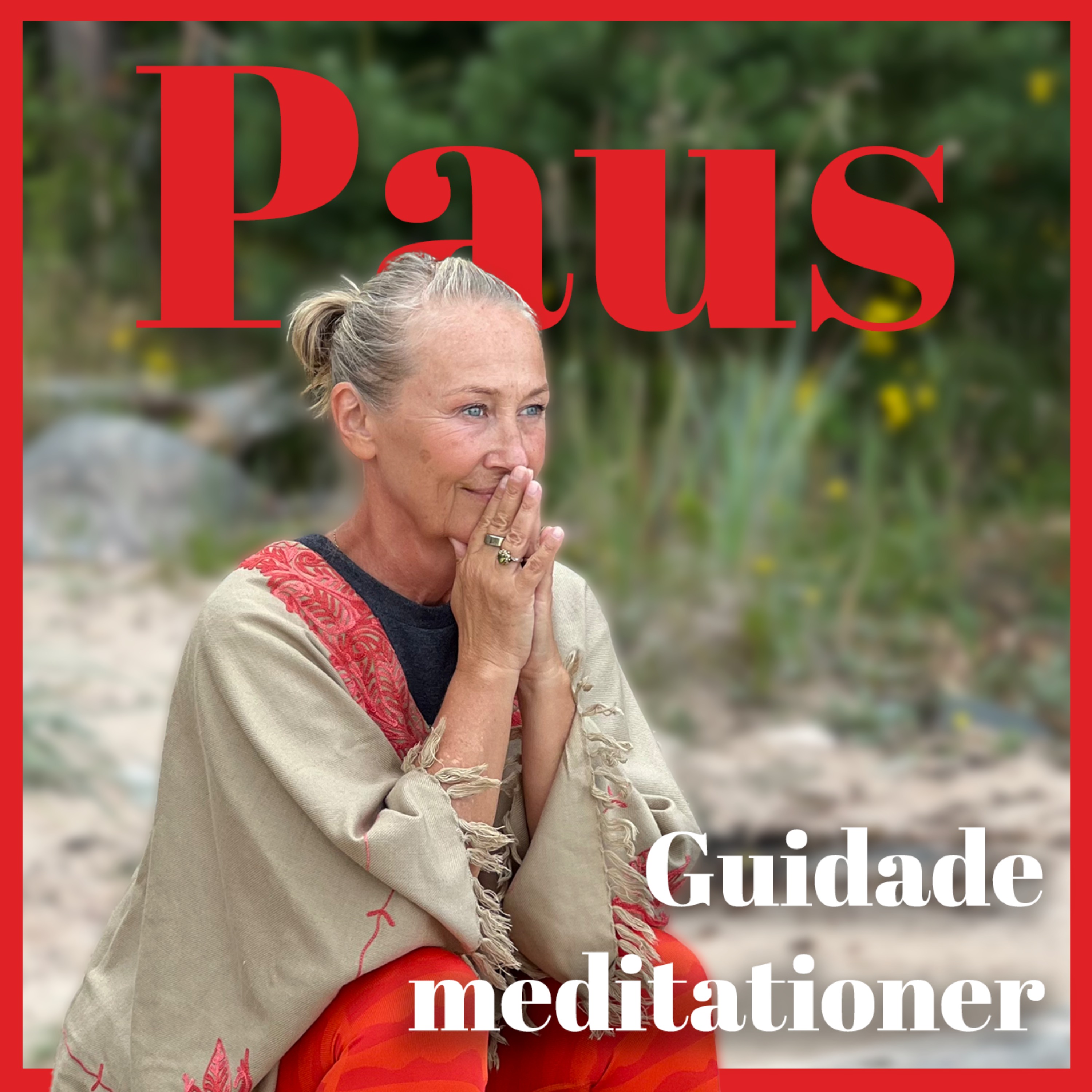 Paus - guidade meditationer