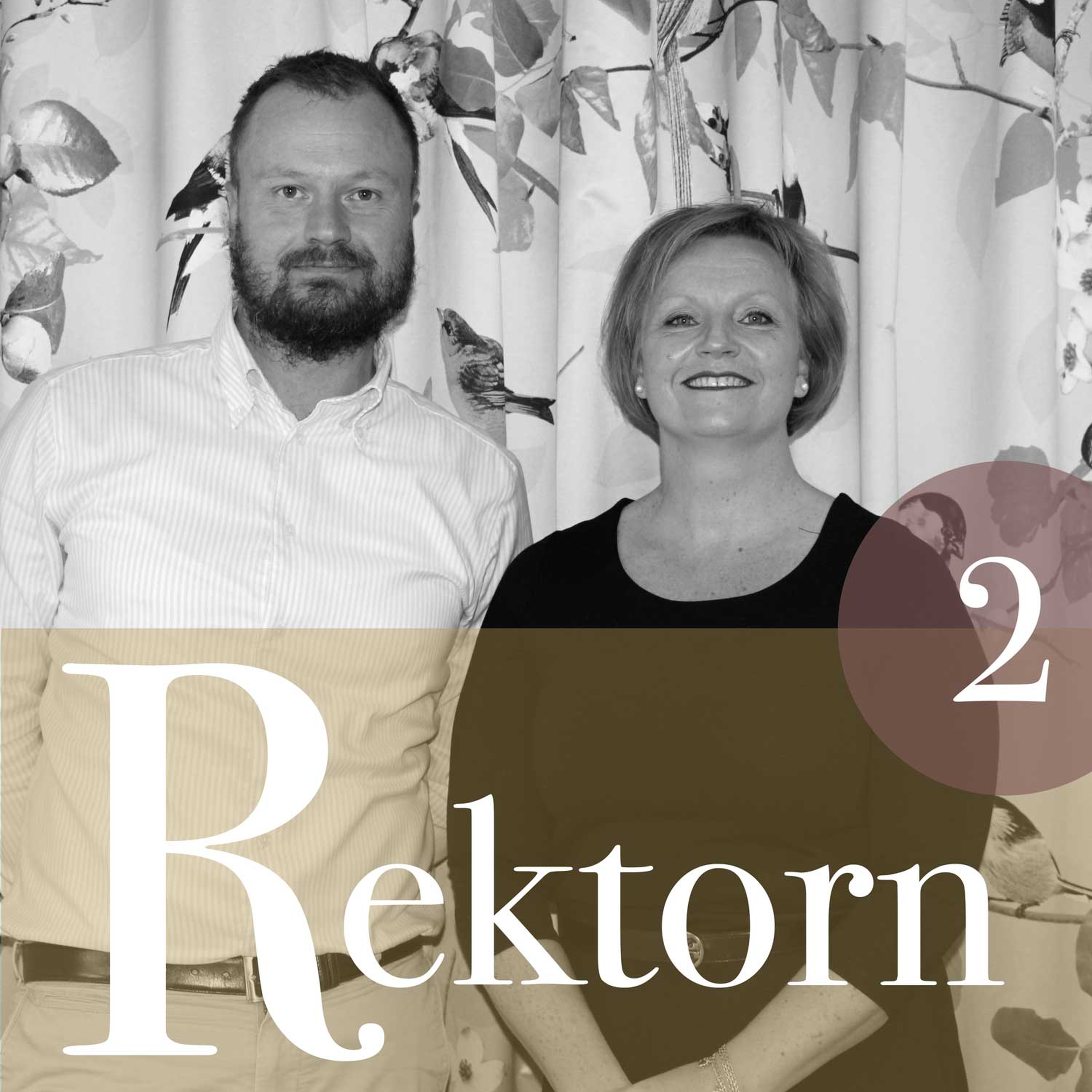 Rektorn