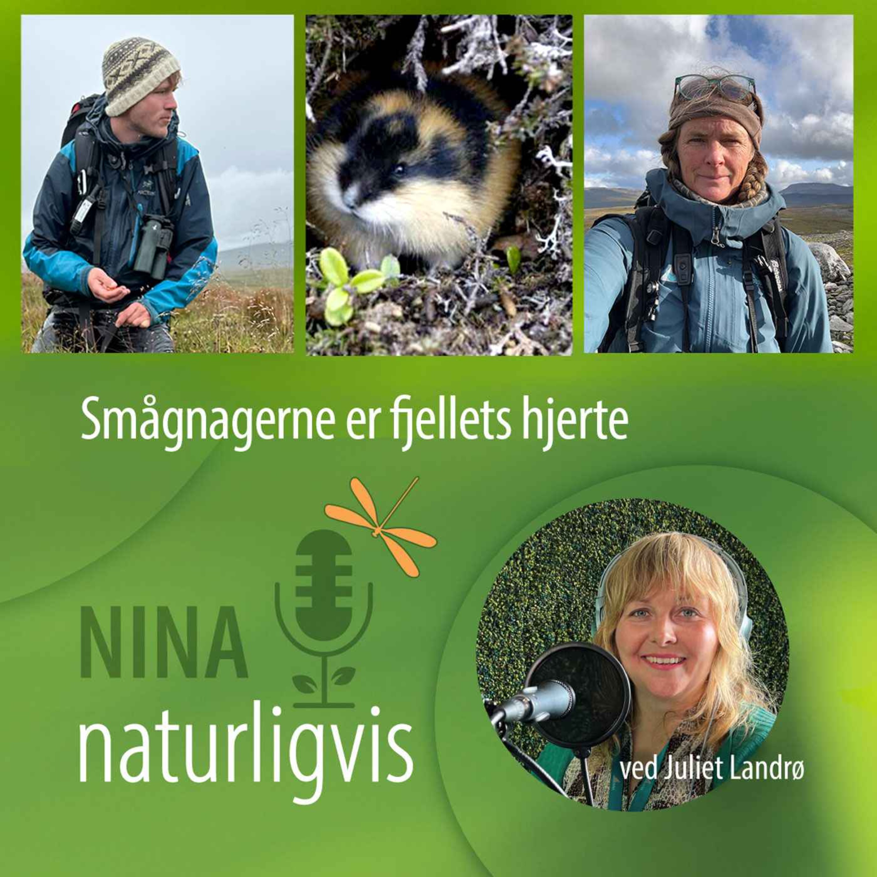 Naturligvis