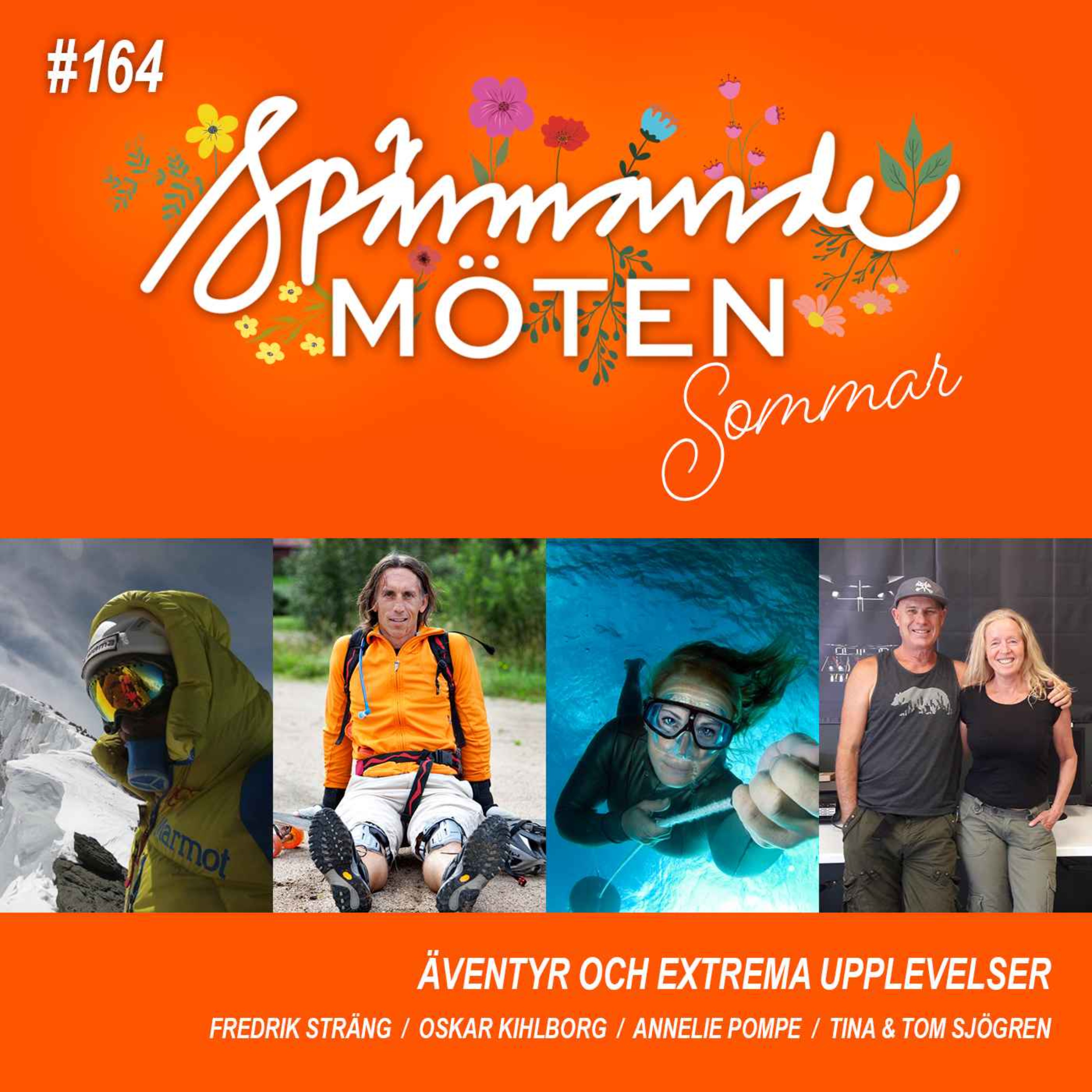 Spännande möten