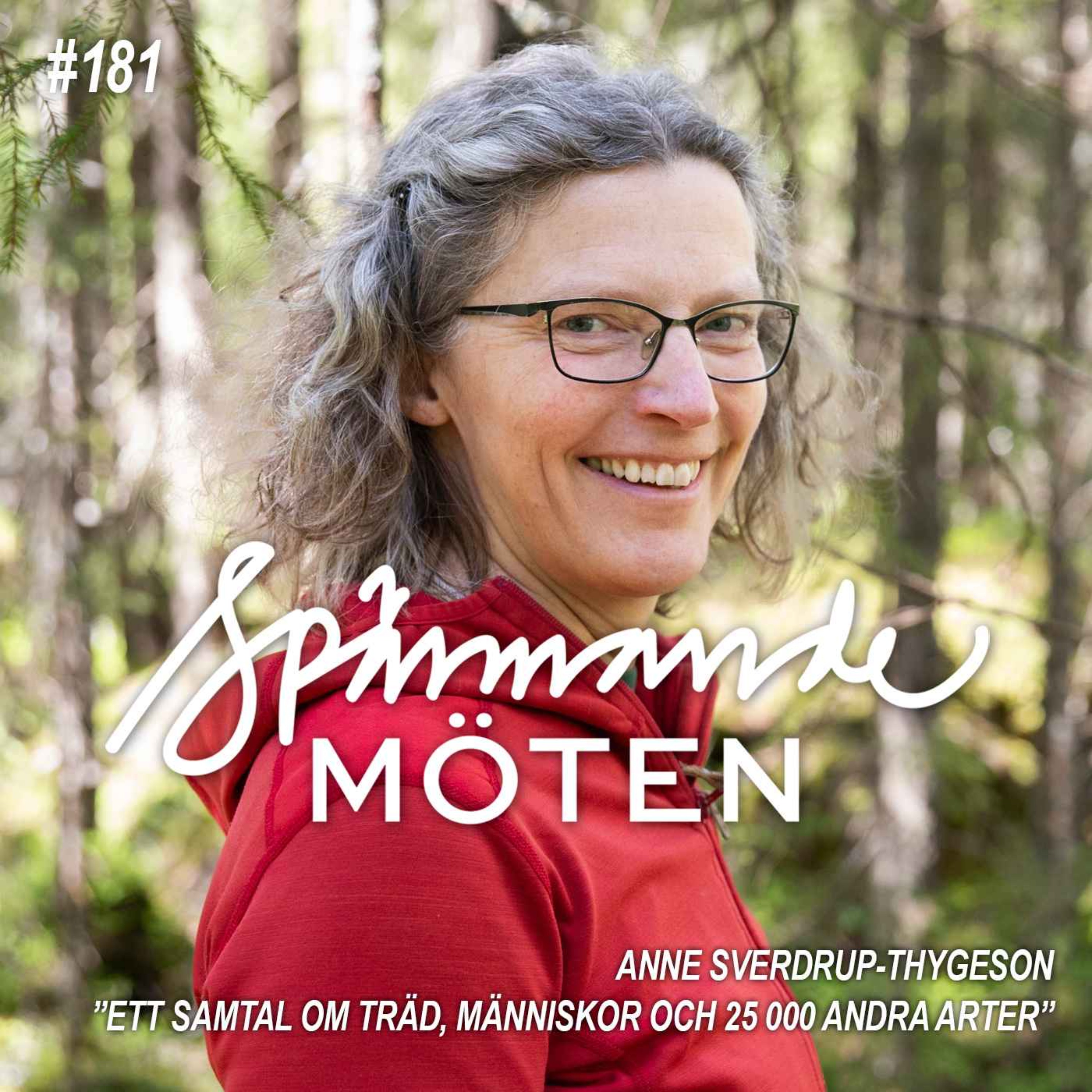 Spännande möten