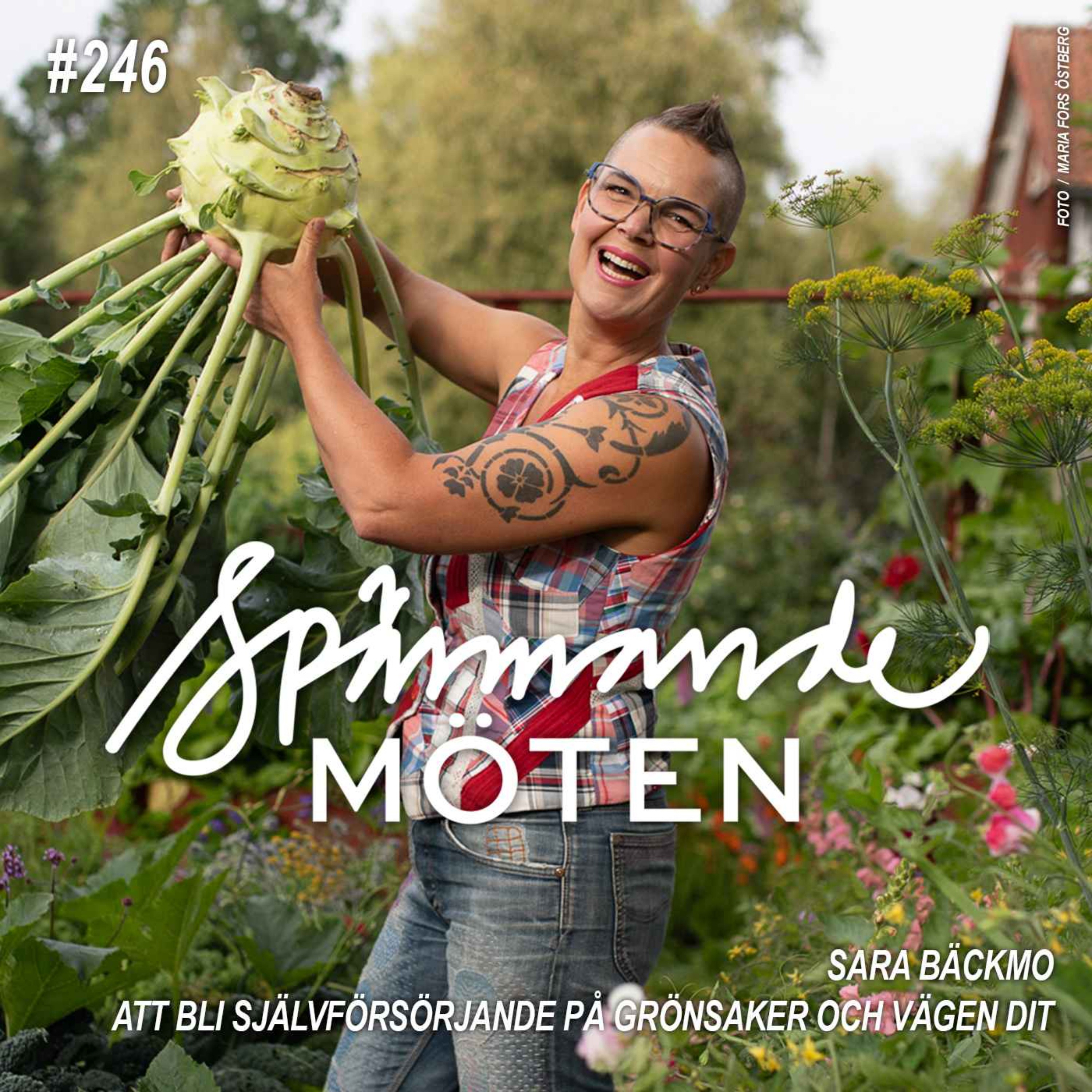 Spännande möten
