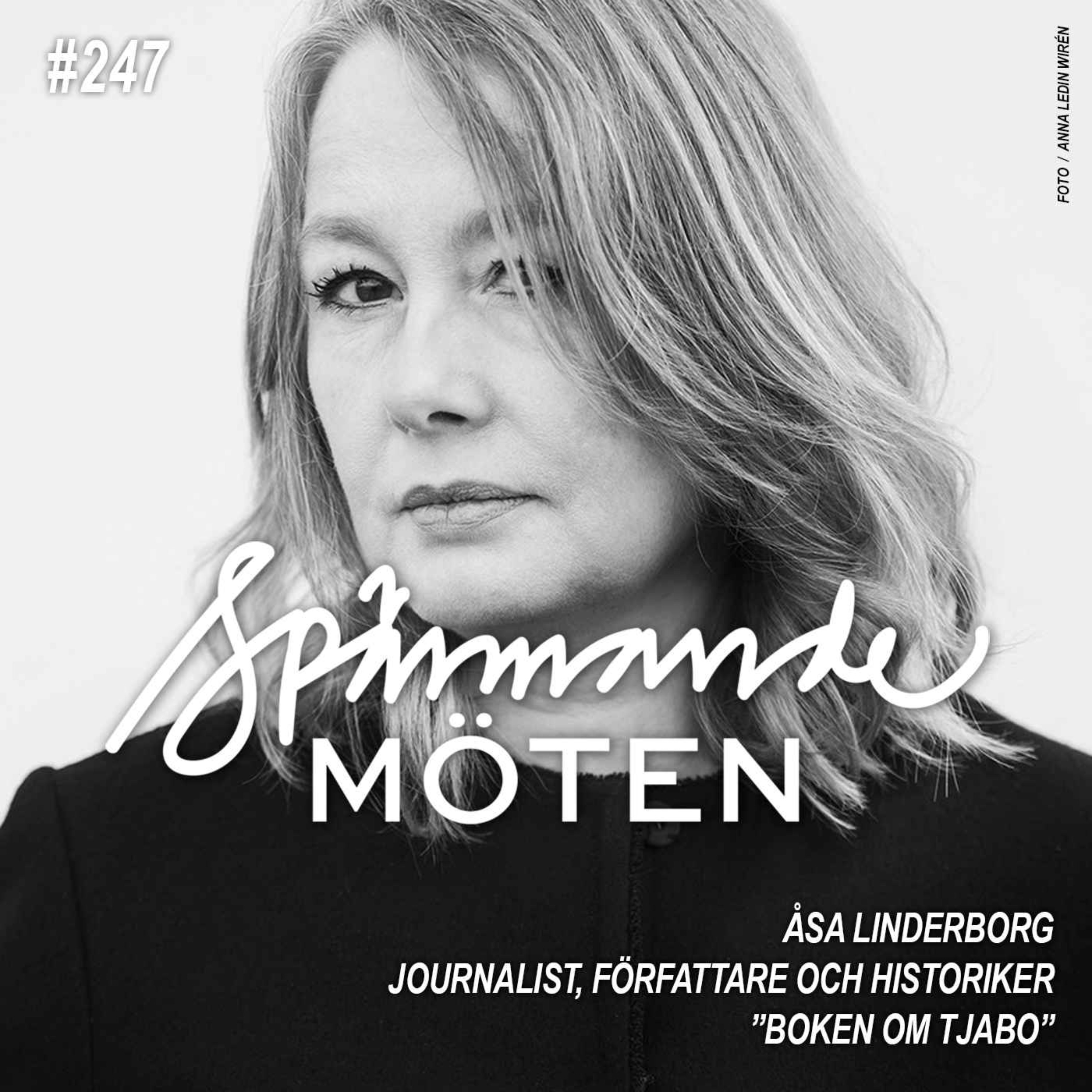 #247 Åsa Linderborg, journalist, författare och historiker episode artwork