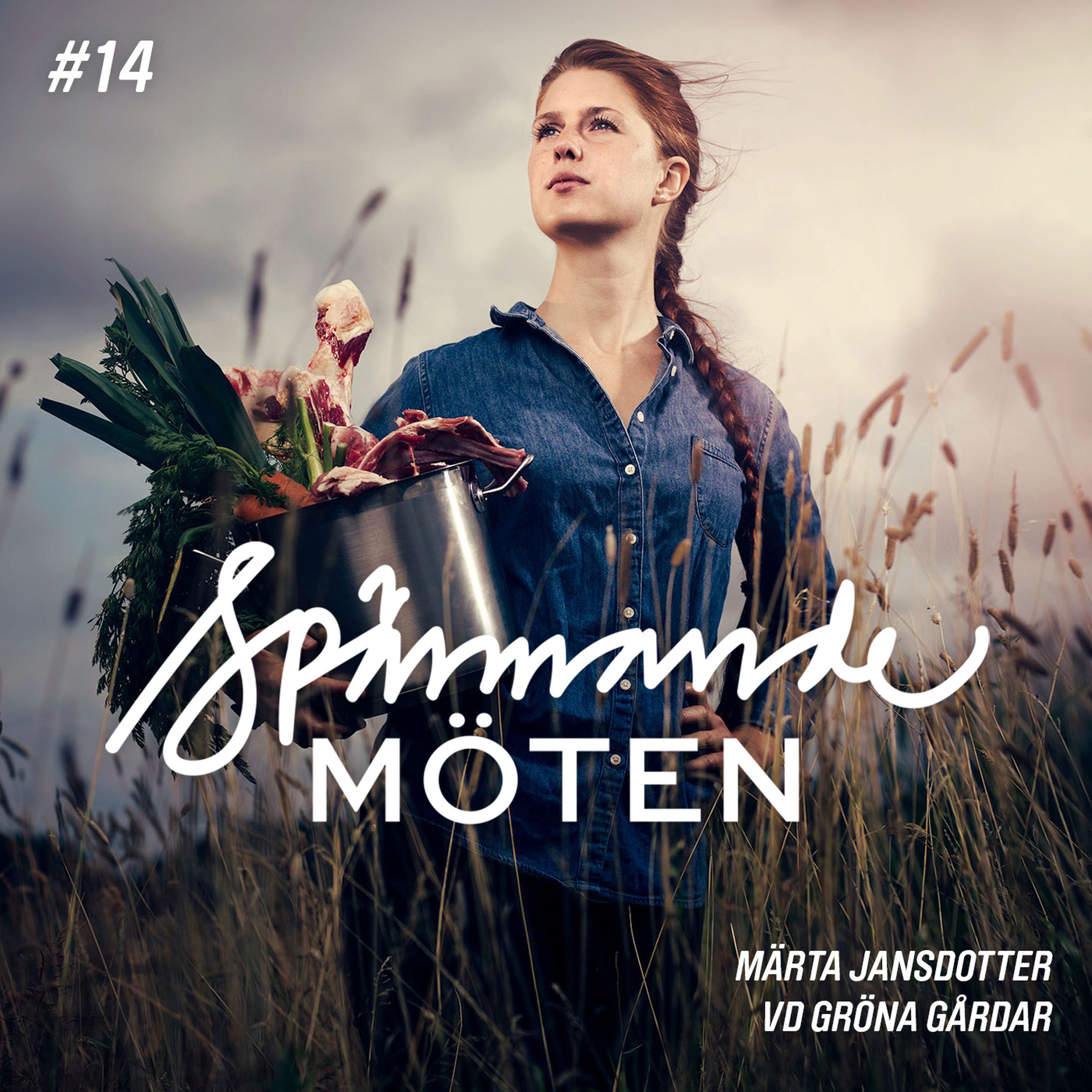 #14 Märta Jansdotter, VD Gröna Gårdar episode artwork