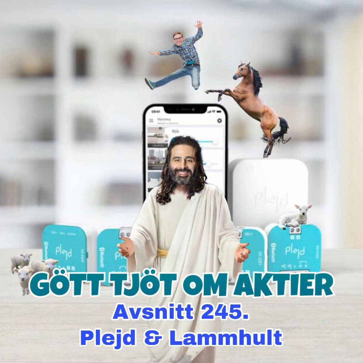 245. Plejd & Lammhult