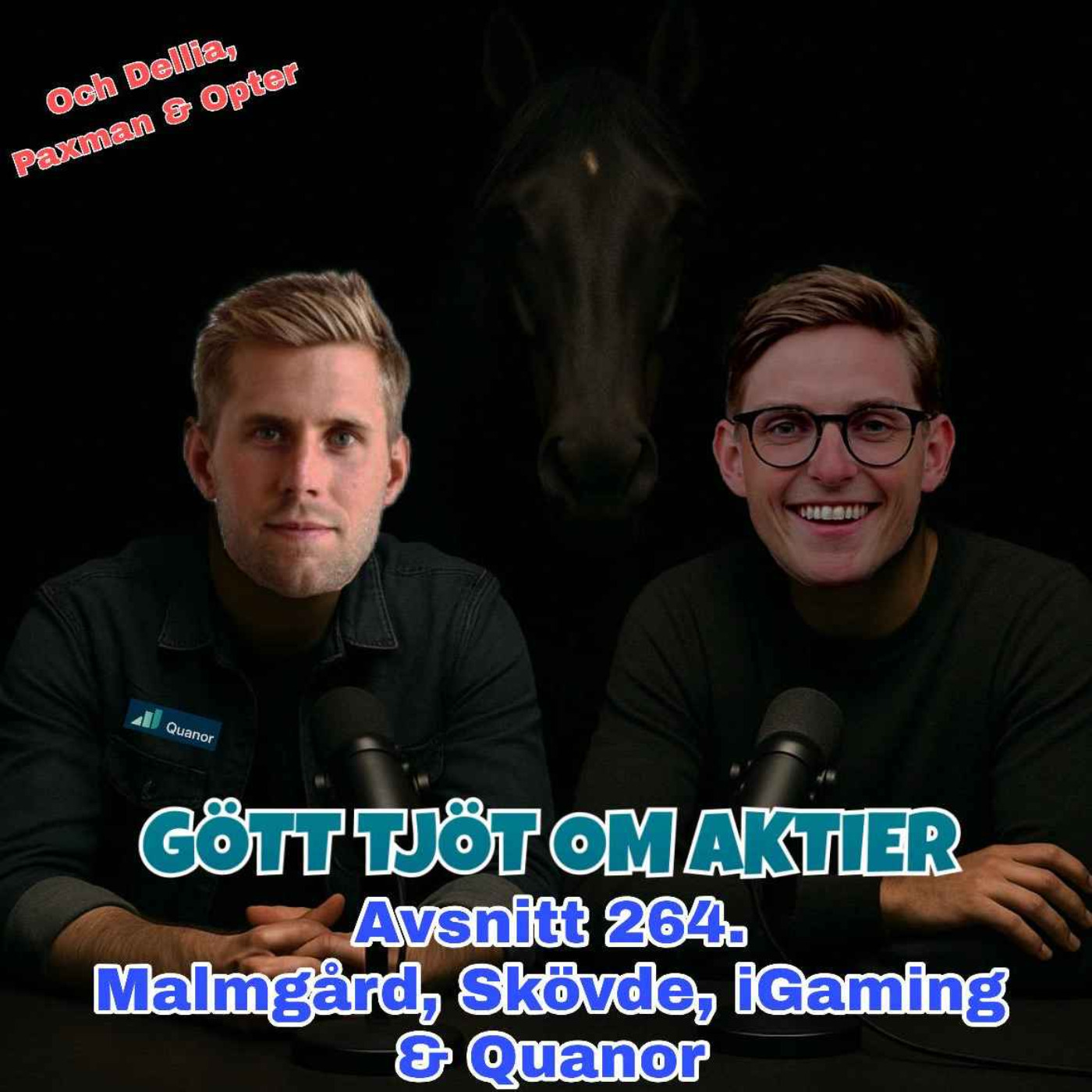 264. Malmgård, Skövde, iGaming & Quanor