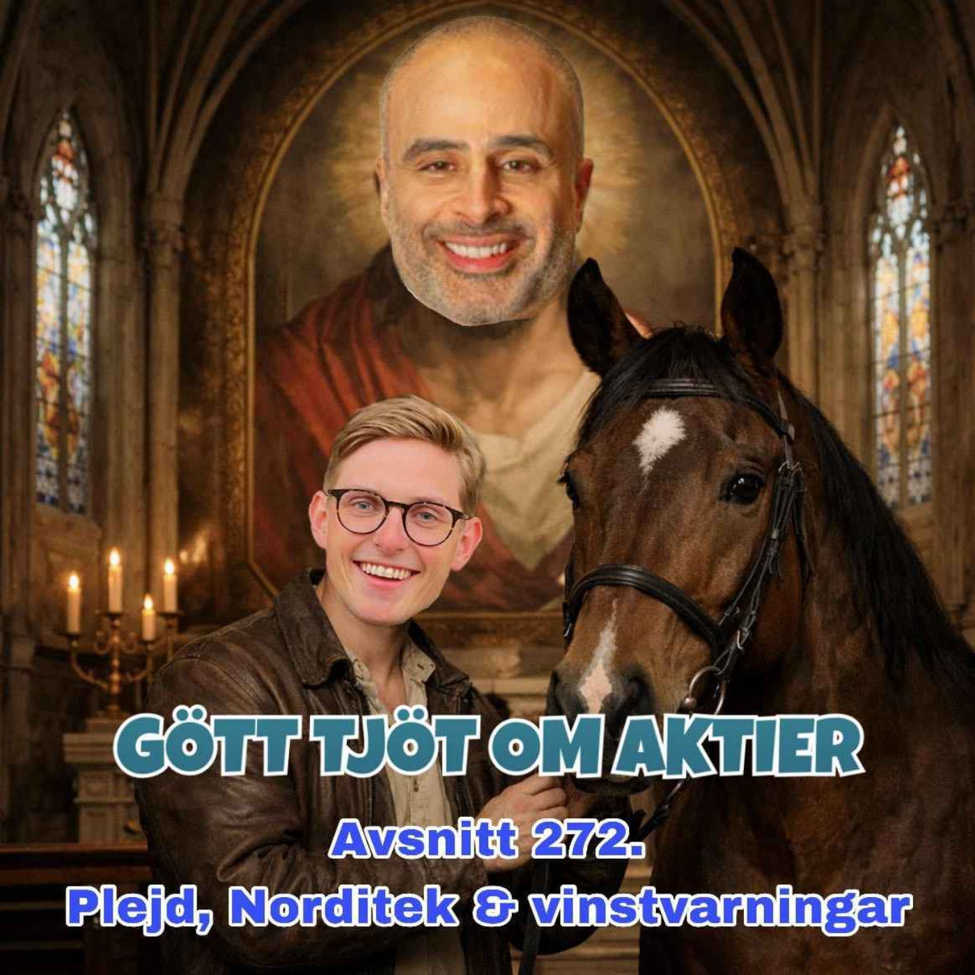 272. Plejd, Norditek & vinstvarningar