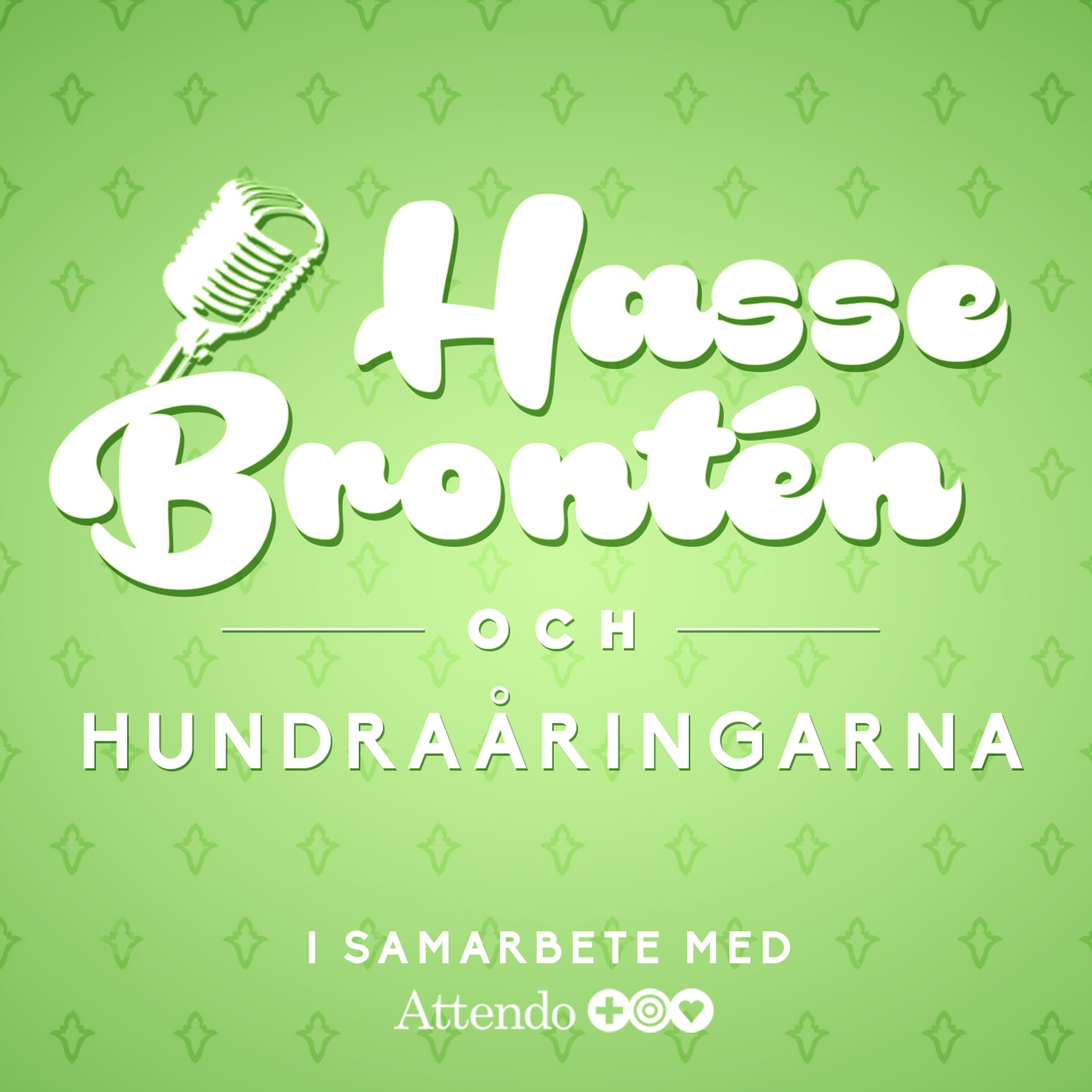 cover art for 22. Hasse möter Birger