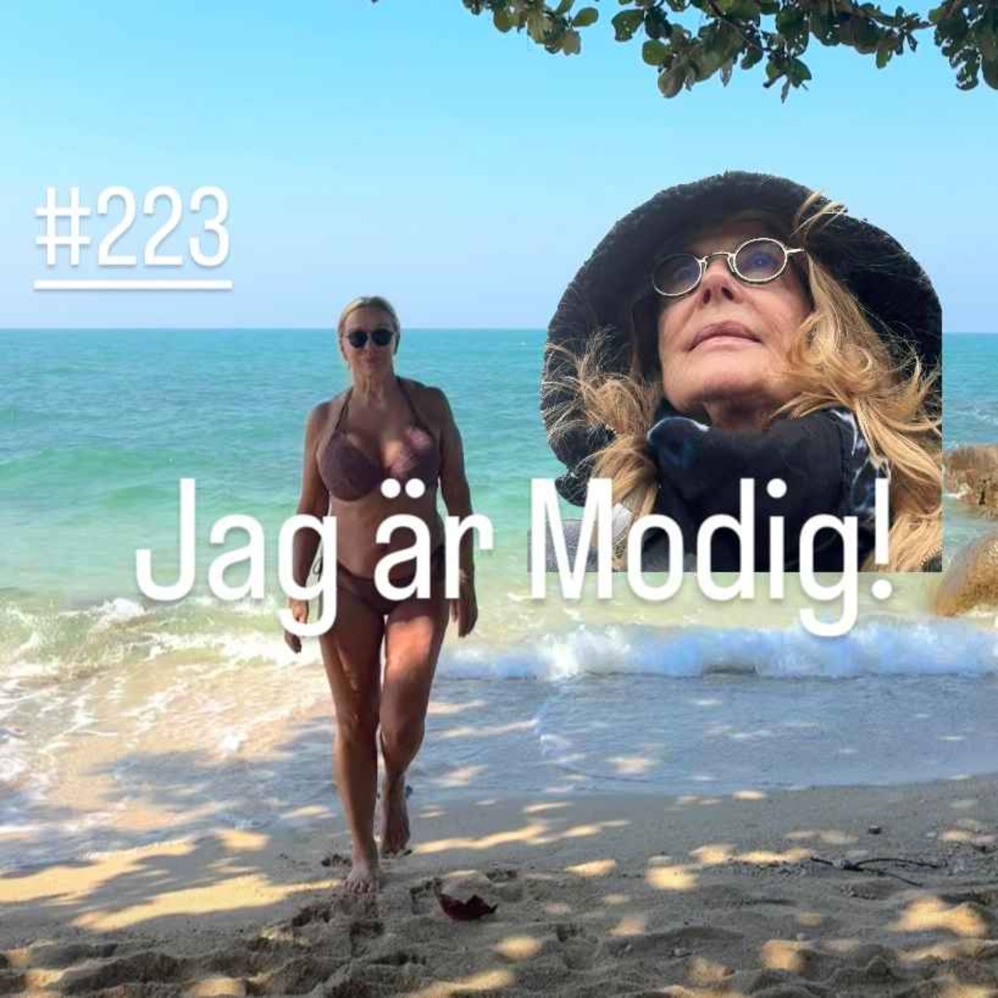 223. Vi poddar från olika kontinenter