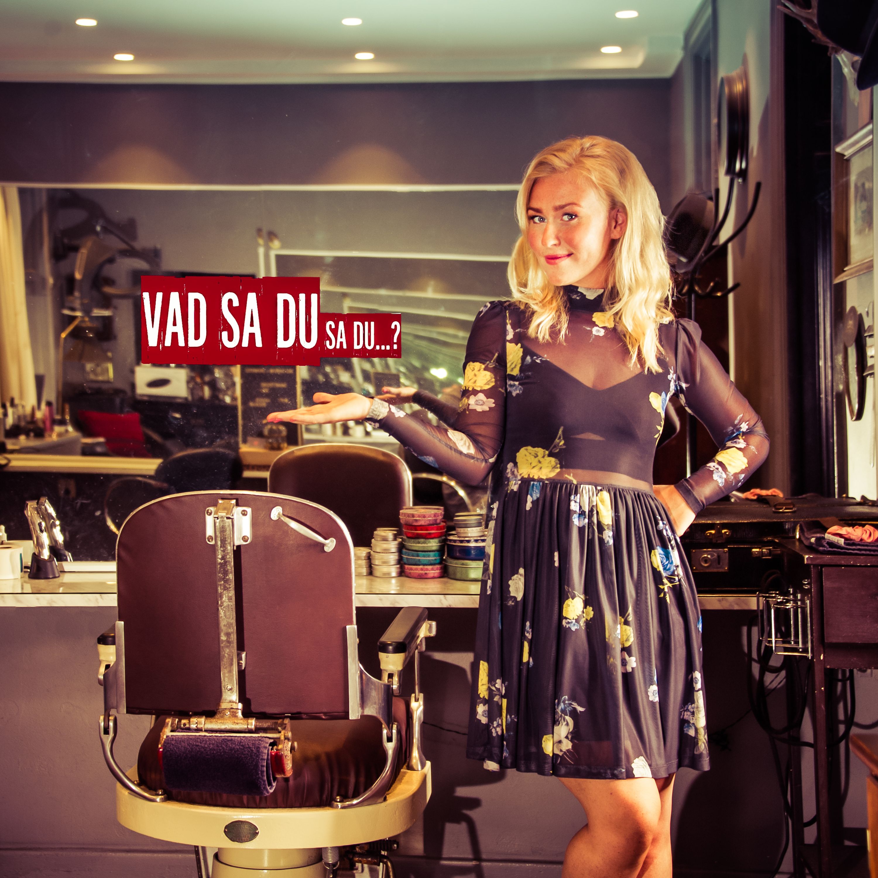 Vad sa du sa du?