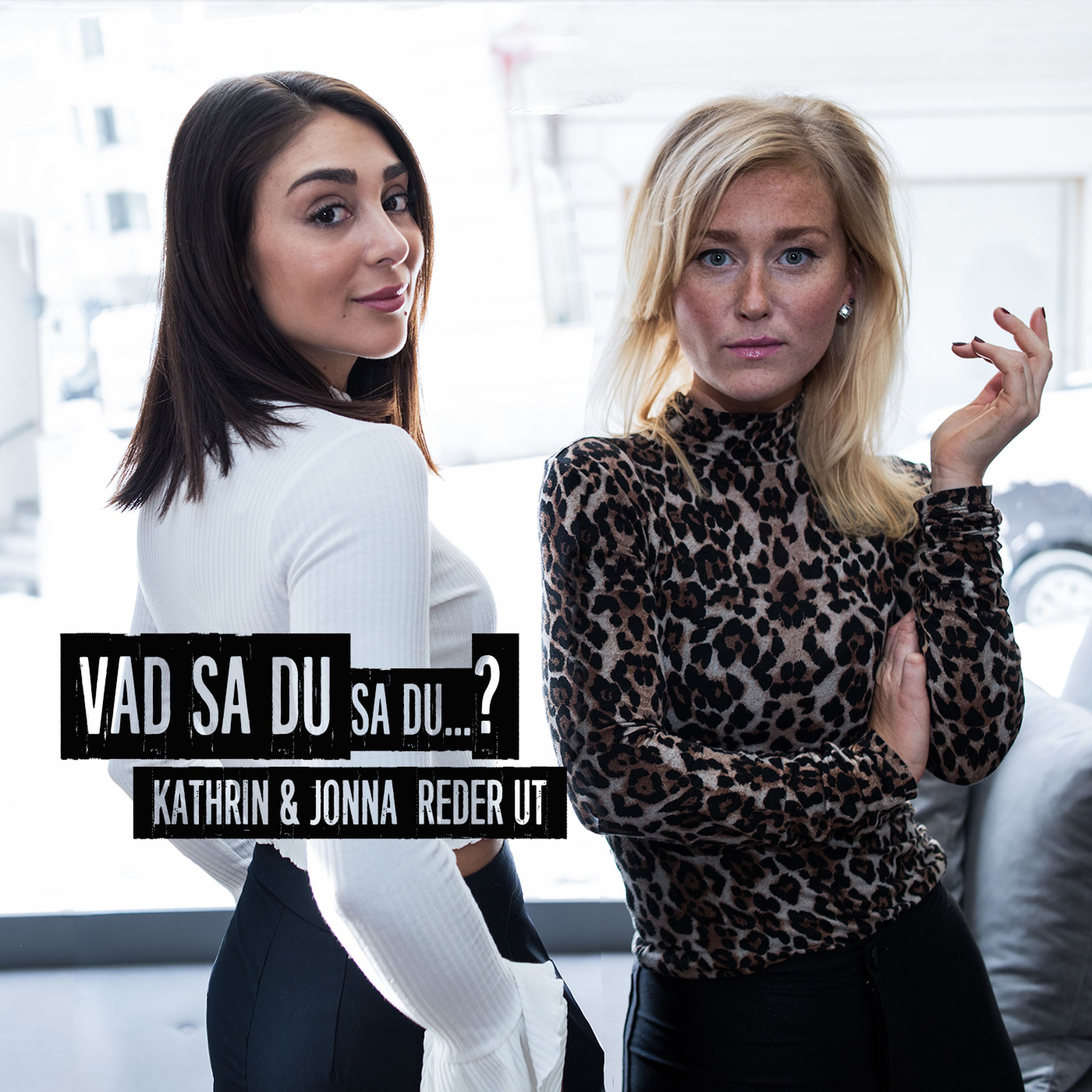 Vad sa du sa du?
