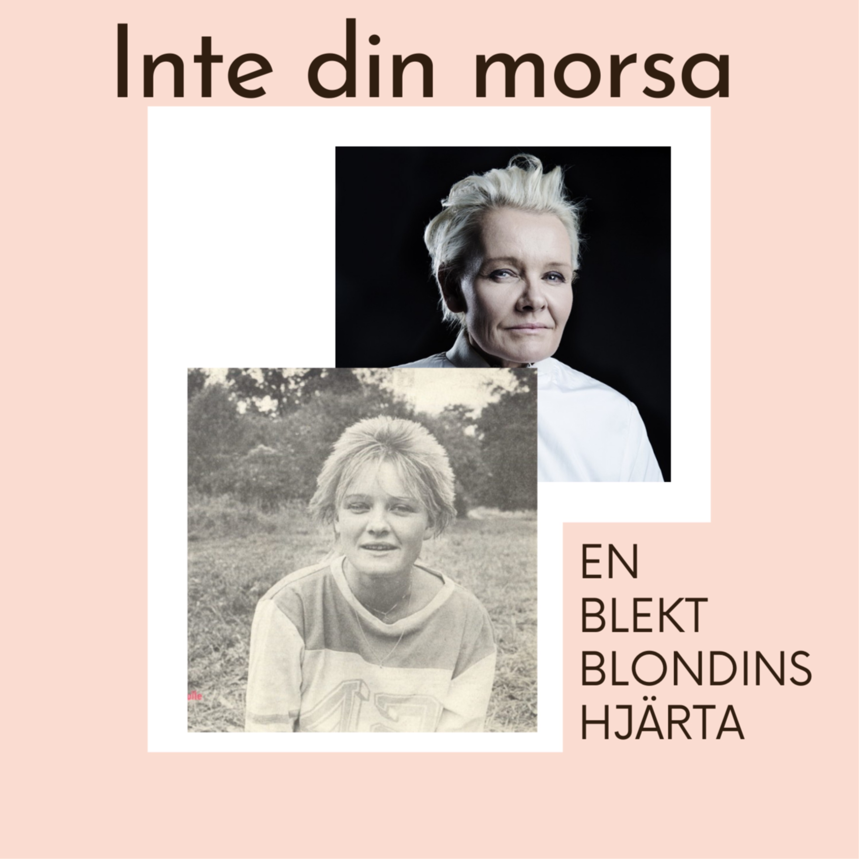cover art for En blekt blondins hjärta 